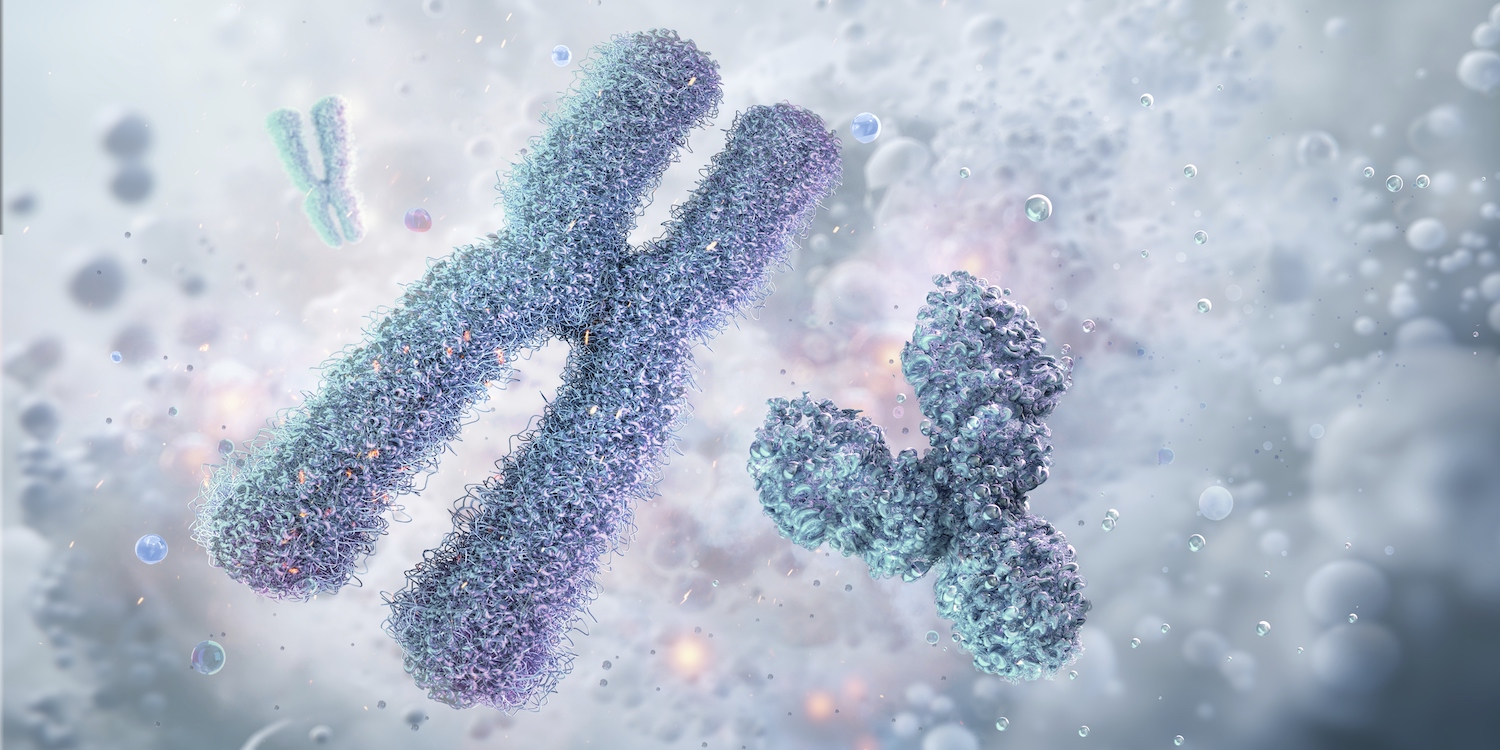 ‘Het Y-chromosoom is ten dode opgeschreven’