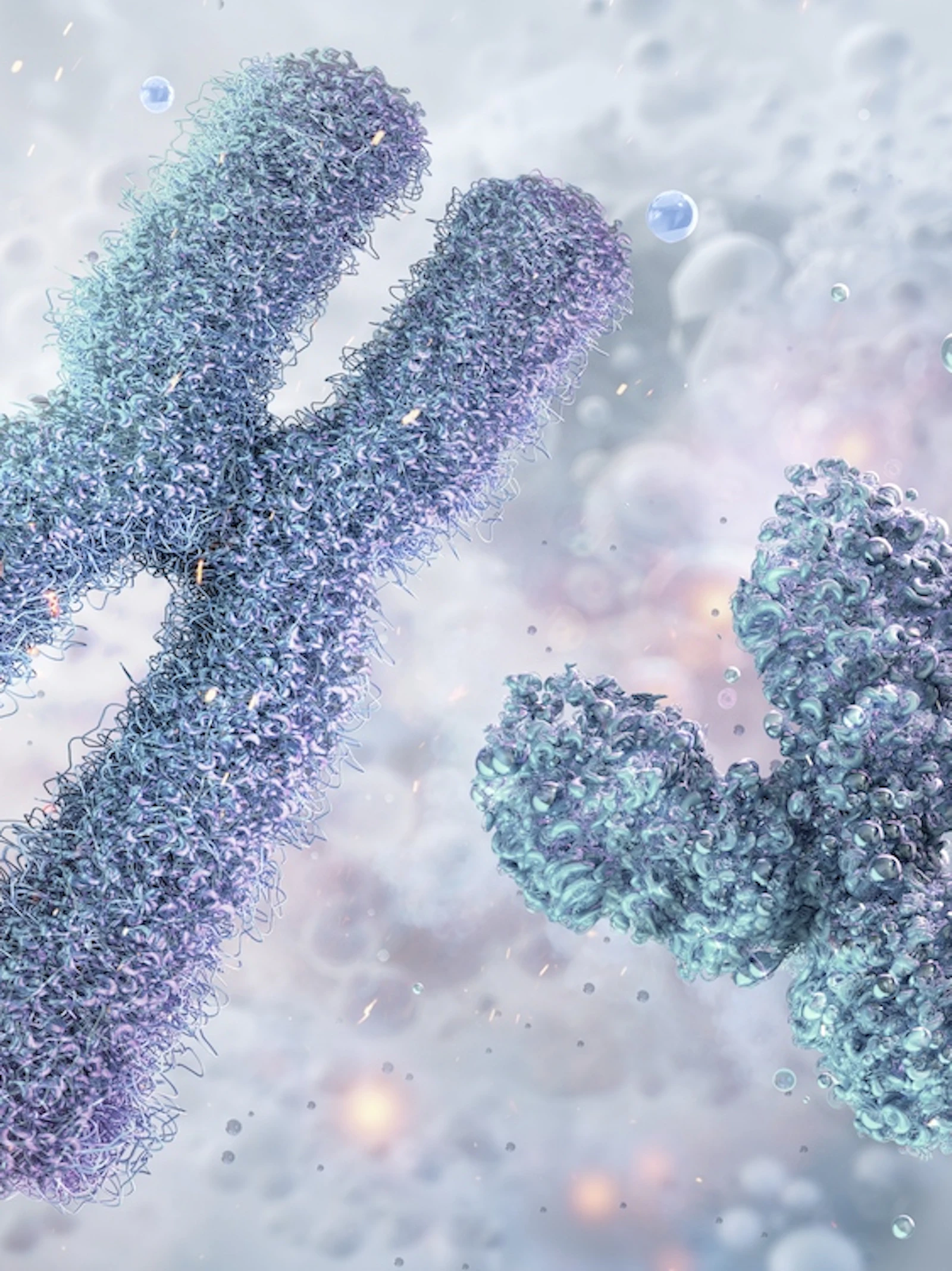 ‘Het Y-chromosoom is ten dode opgeschreven’