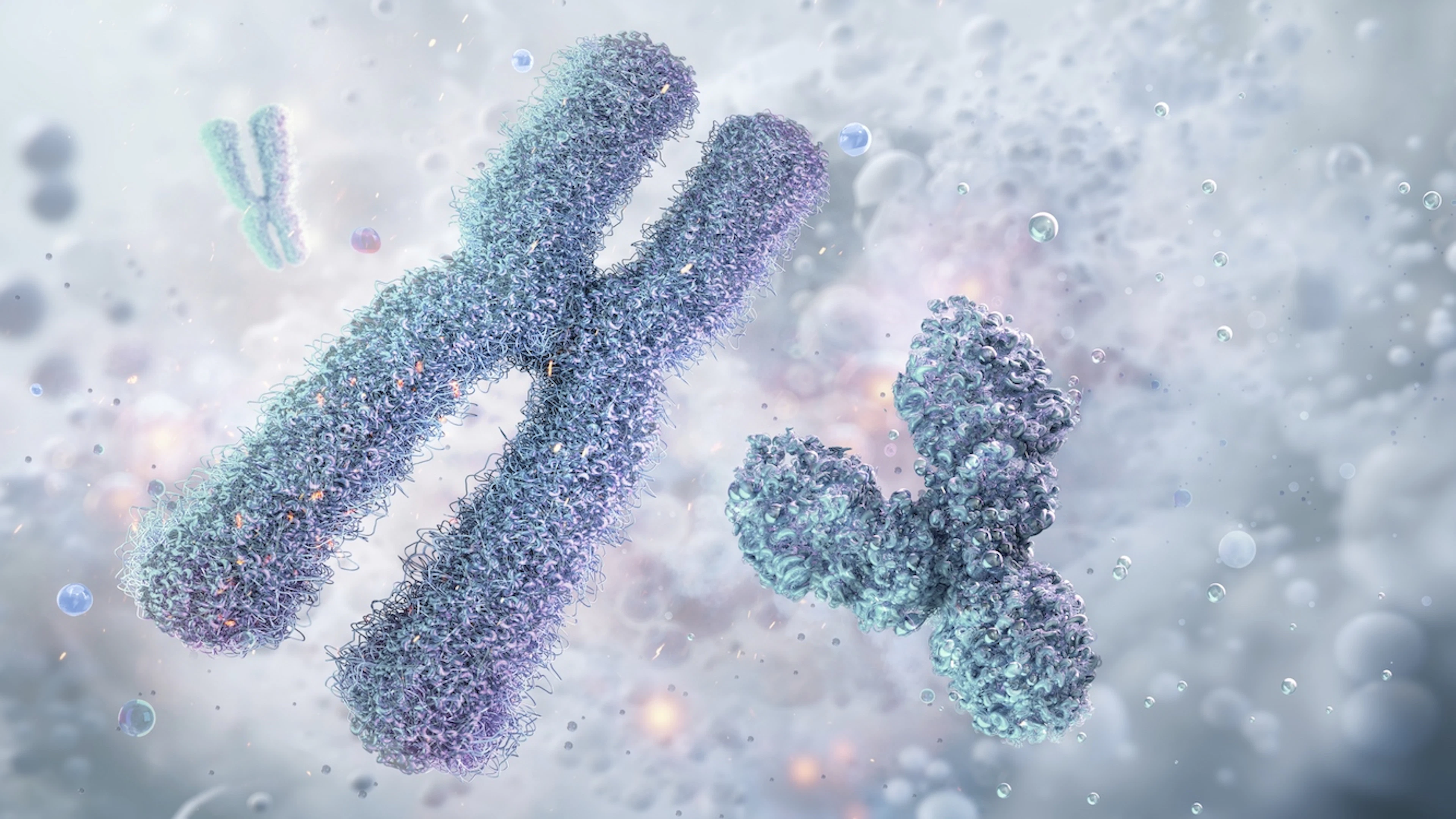‘Het Y-chromosoom is ten dode opgeschreven’