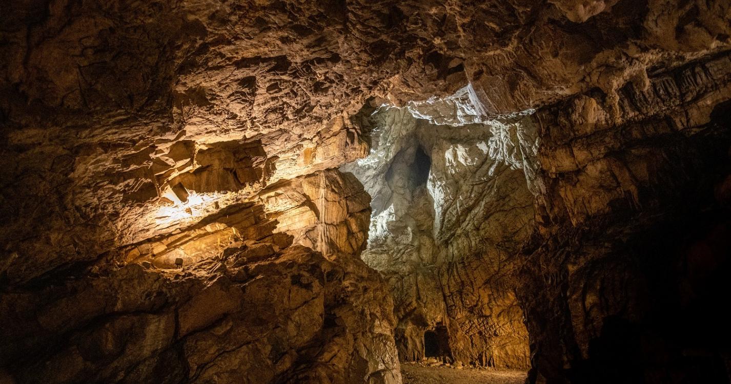 Belgische fossielen werpen nieuw licht op het uitsterven van de neanderthalers