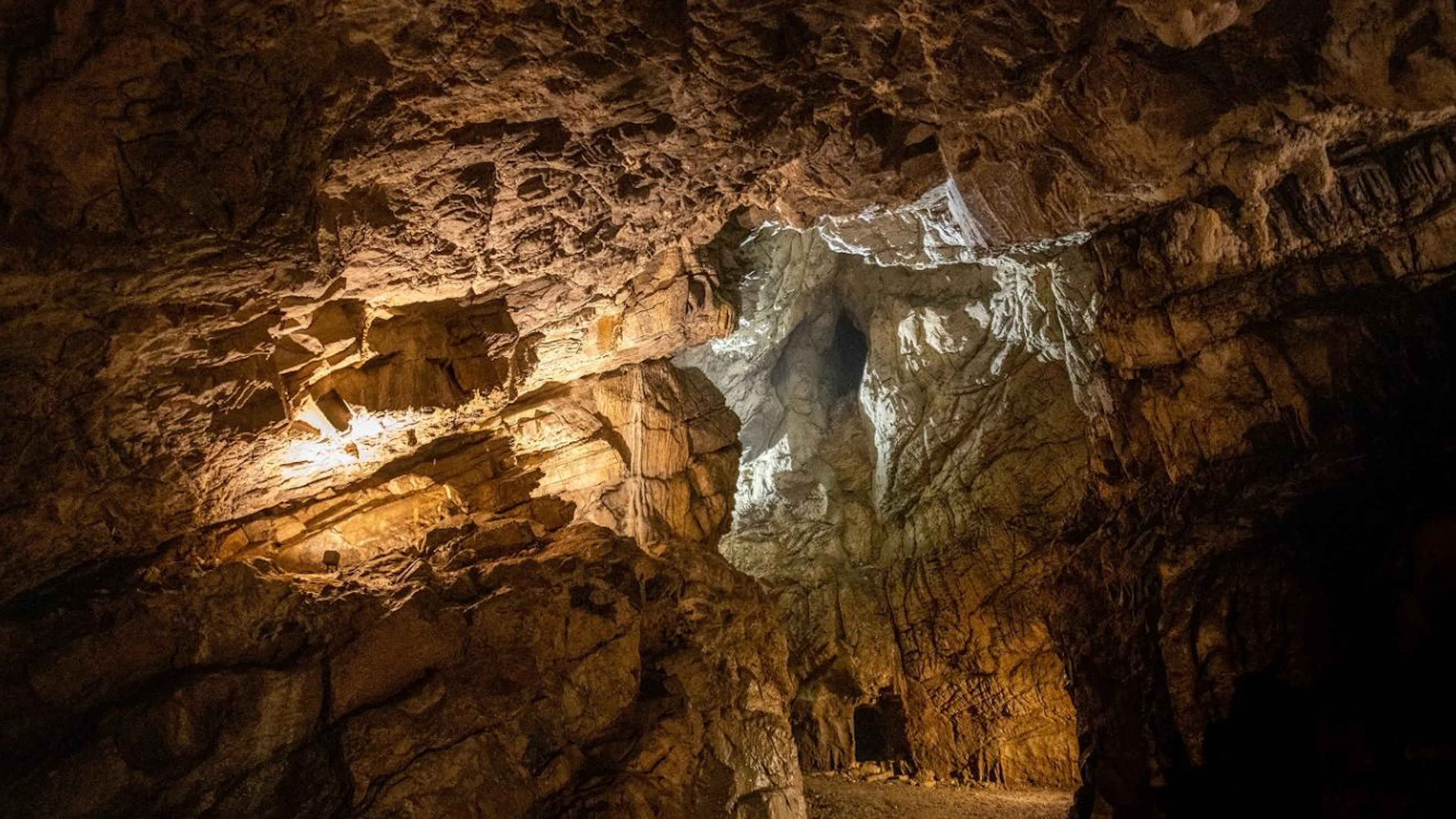 Belgische fossielen werpen nieuw licht op het uitsterven van de neanderthalers
