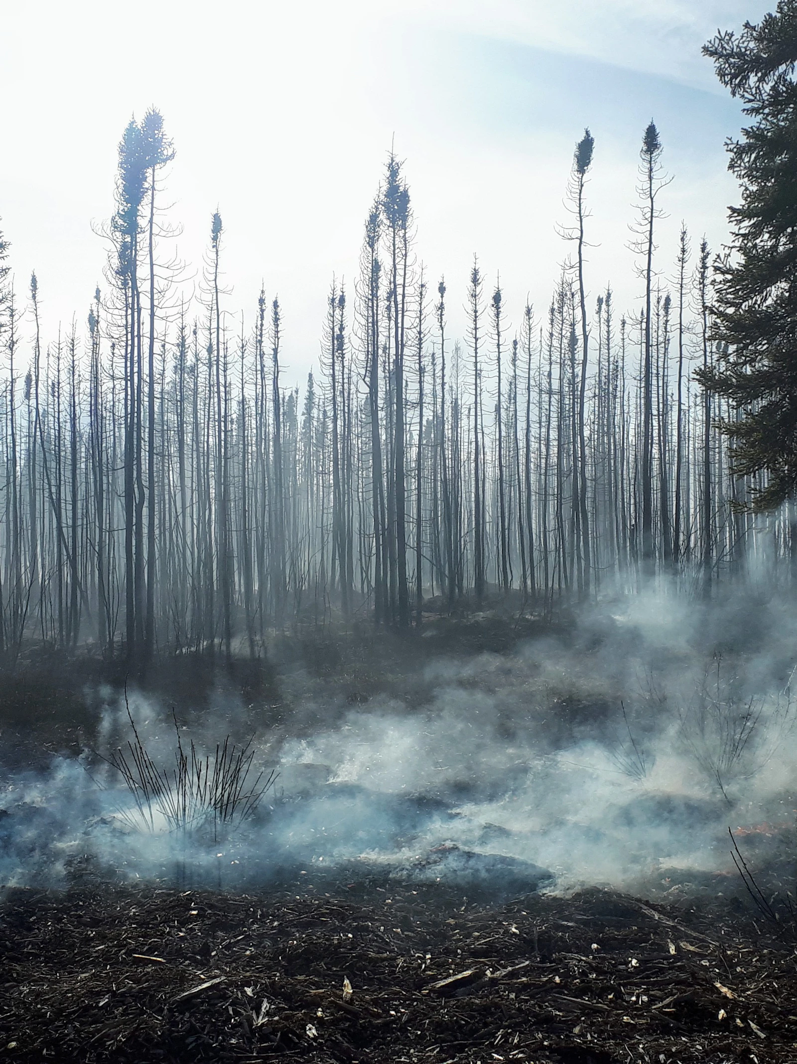 Niet elke natuurbrand is hetzelfde, zeker niet als er veen in het spel is