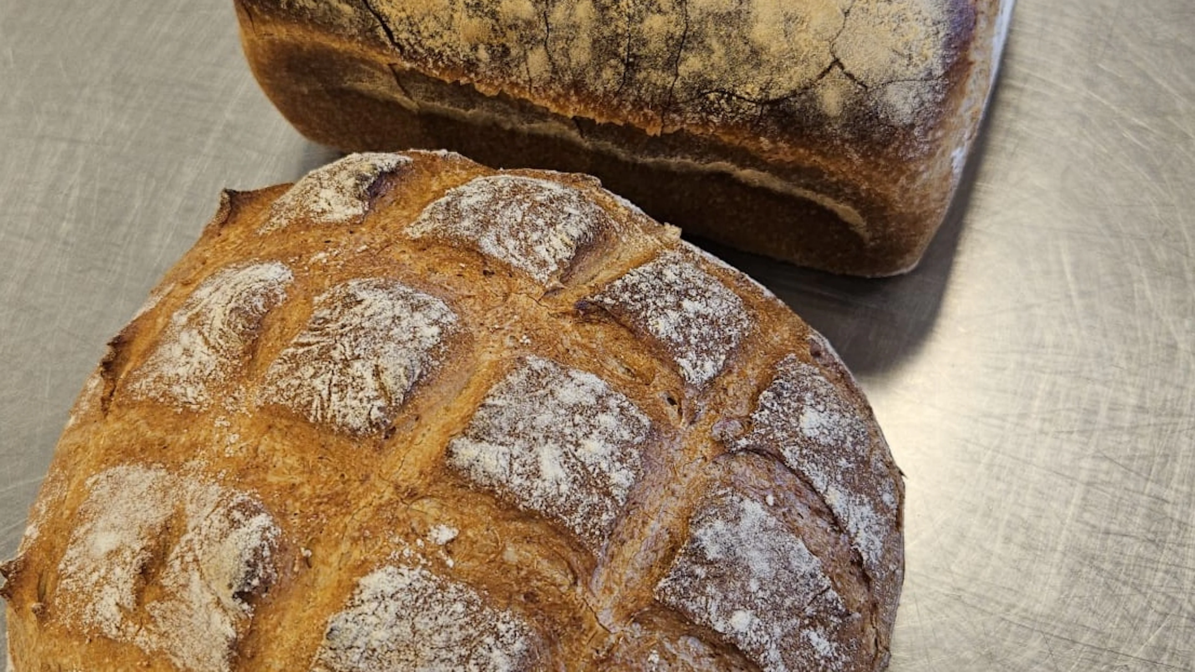 Brood Brood