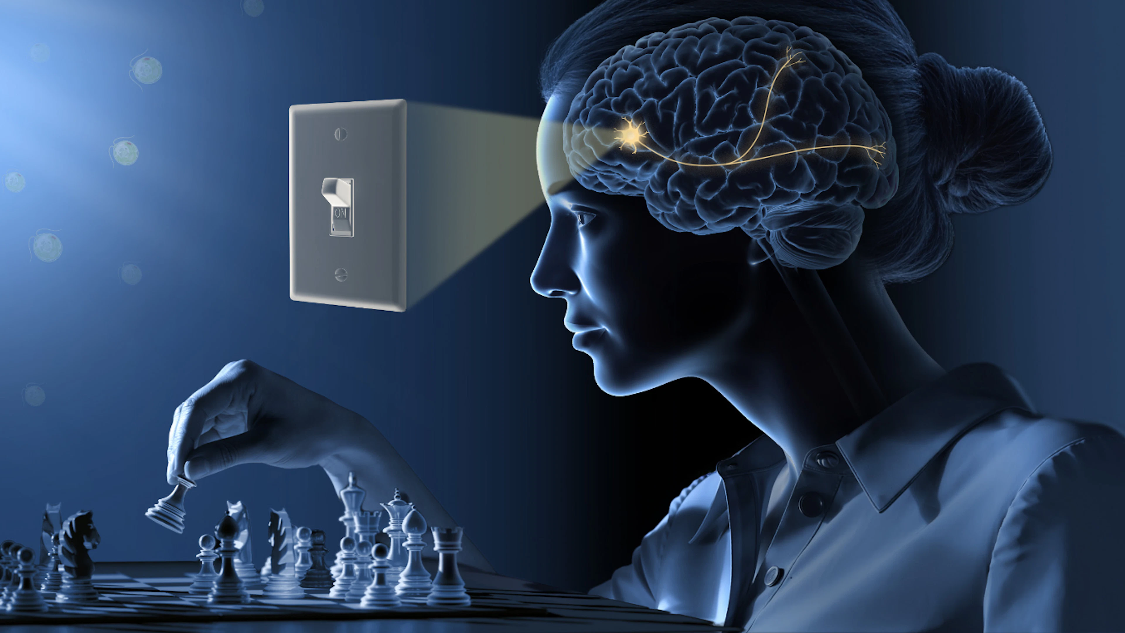 Nobelprijs Geneeskunde: Lichtgevoelig algen-eiwit gaf neurowetenschap een impuls