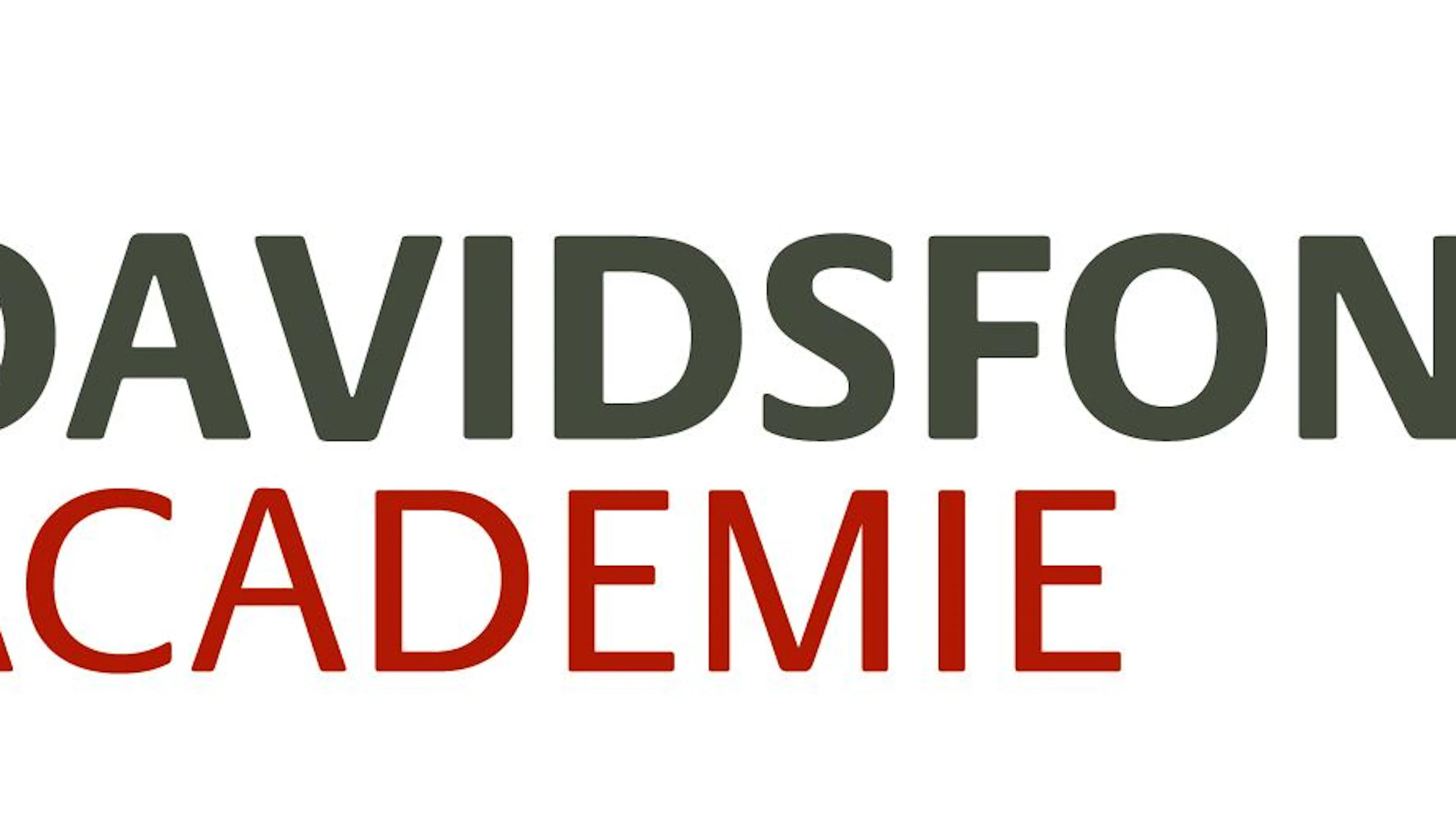 Davidsfonds Academie