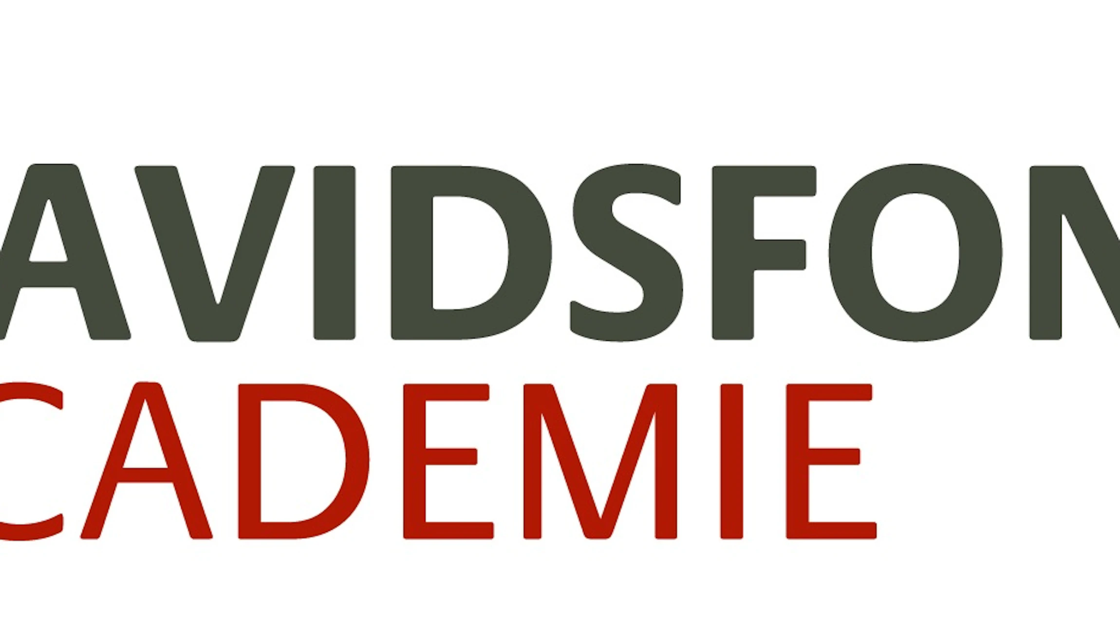 Davidsfonds Academie
