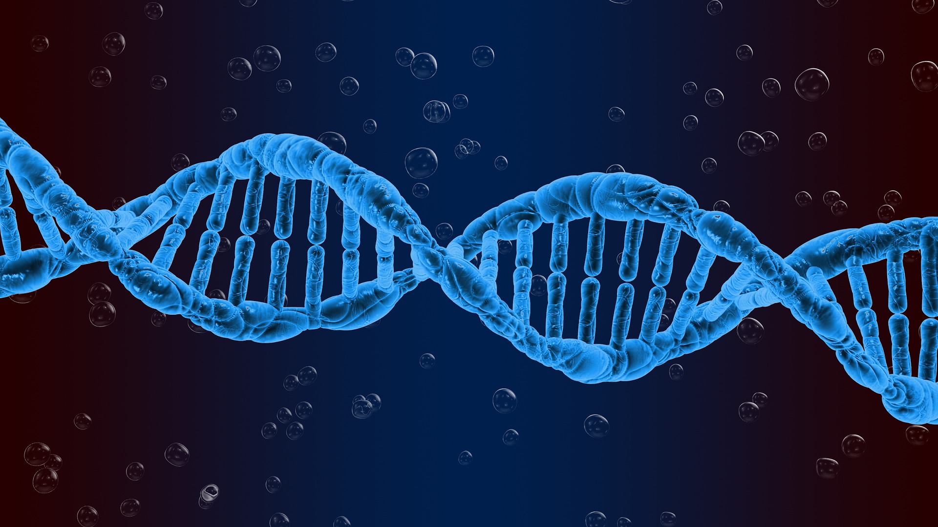 Ons DNA: fatum of fortuin? Mogelijkheden van genetica voor medische testen