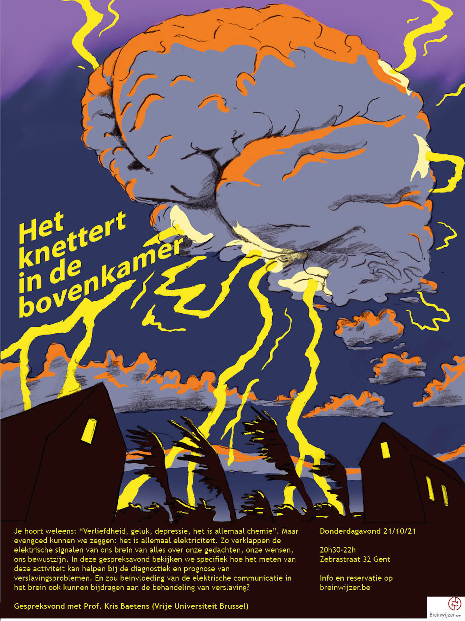 verliefdheid, geluk, depressie in het brein
