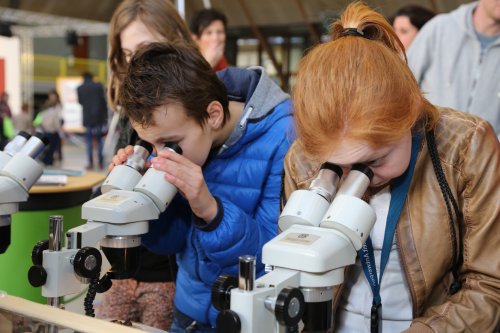 © Universiteit Antwerpen