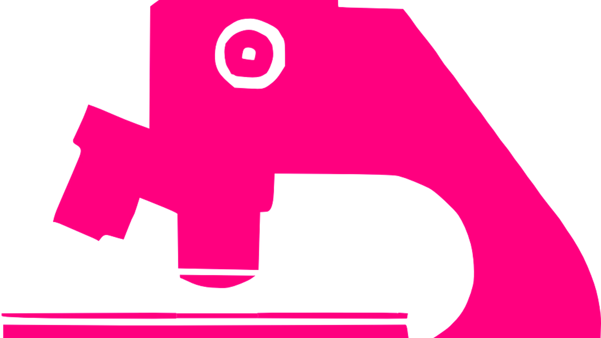 afbeelding Pixabay
