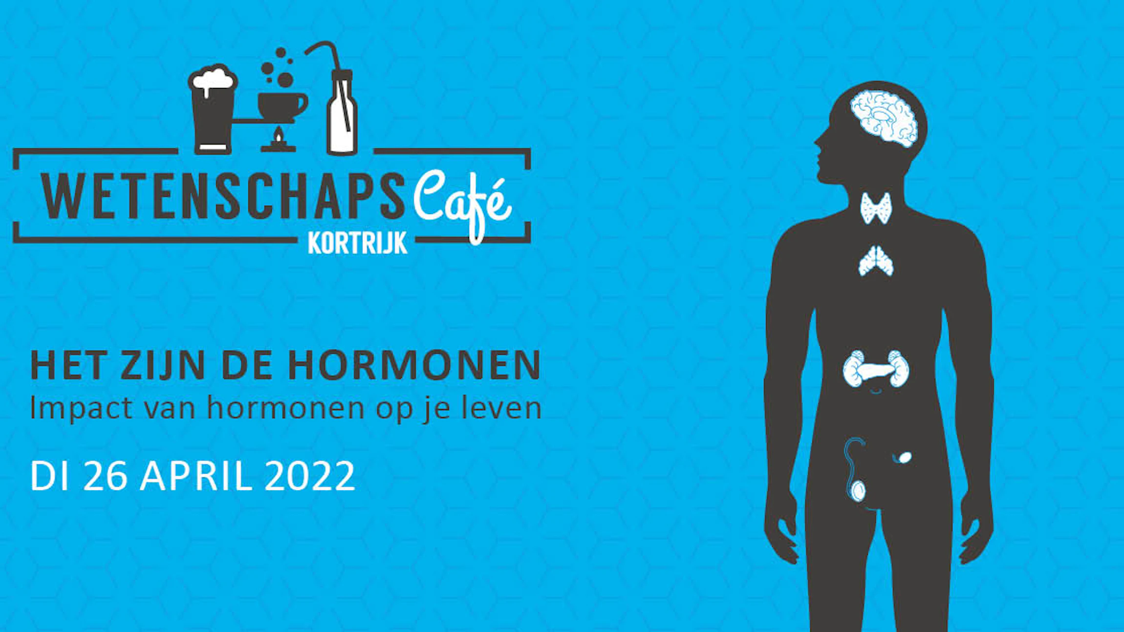 eflyer_hormonen