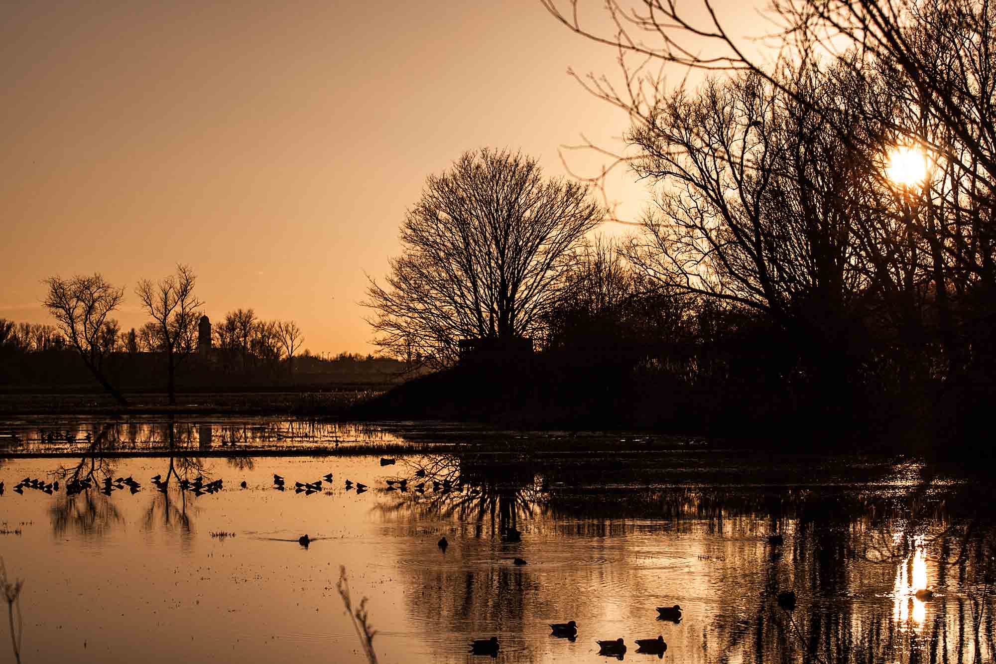 De Bourgoyen bij zonsondergang. Wij willen weten wat erna gebeurt in het natuurdomein!