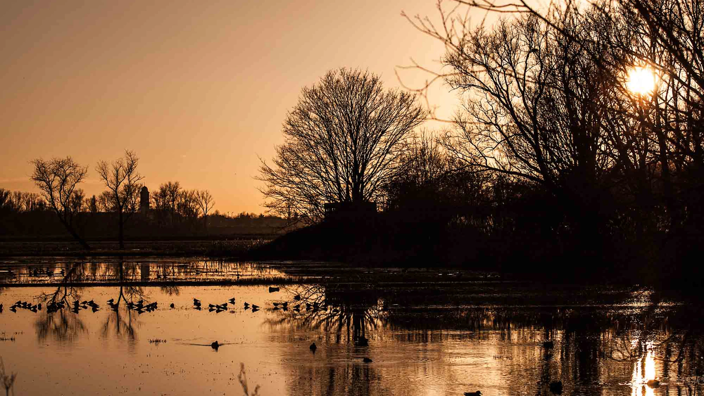 De Bourgoyen bij zonsondergang. Wij willen weten wat erna gebeurt in het natuurdomein!