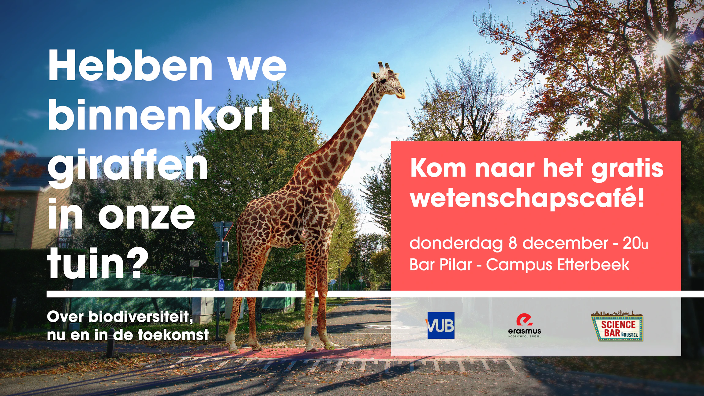 Hebben we binnenkort giraffen in onze tuin?