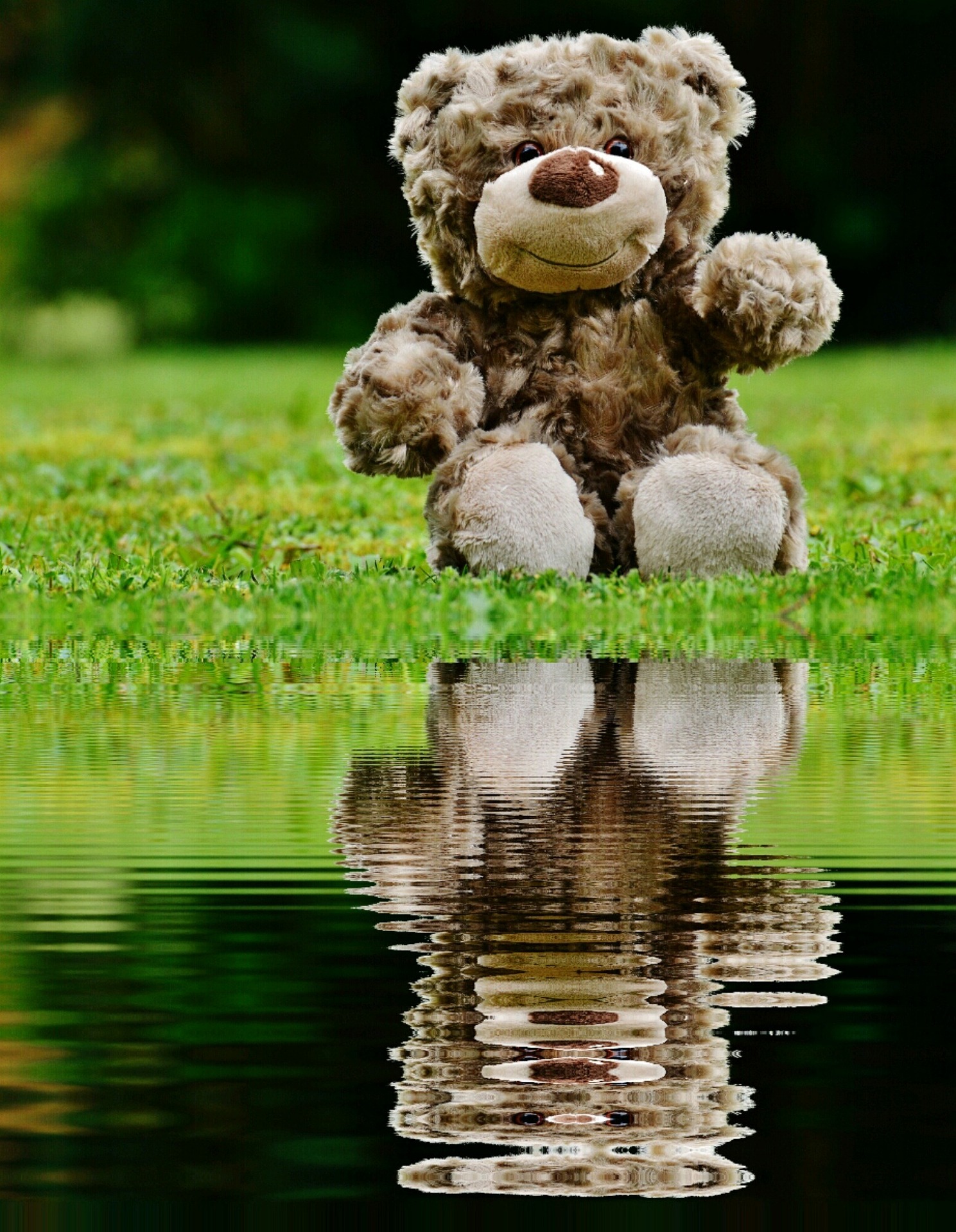 afbeelding Pixabay