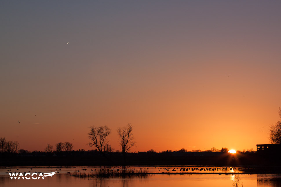 Zonsondergang in de Bourgoyen (c) Wacca