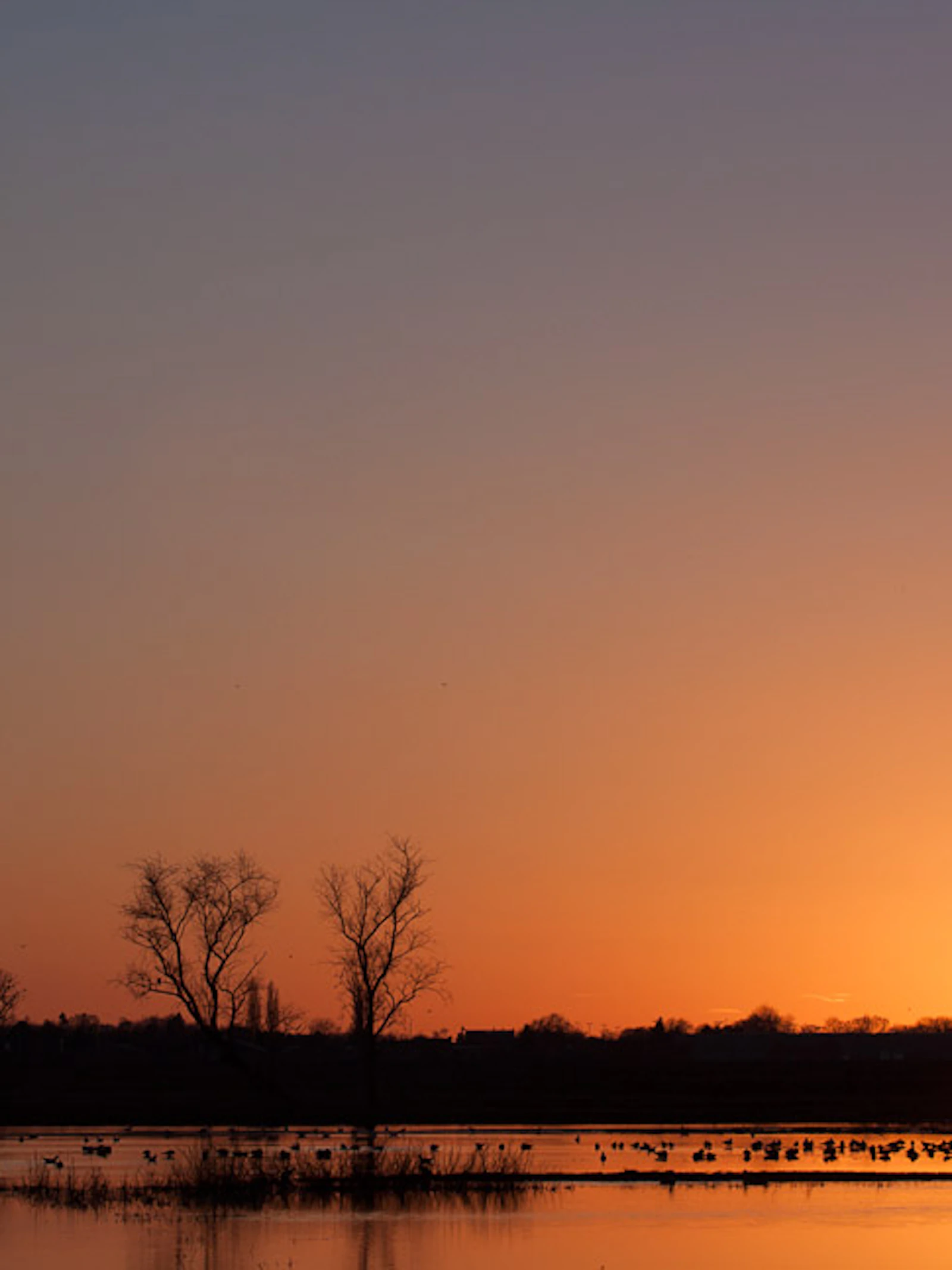 Zonsondergang in de Bourgoyen (c) Wacca