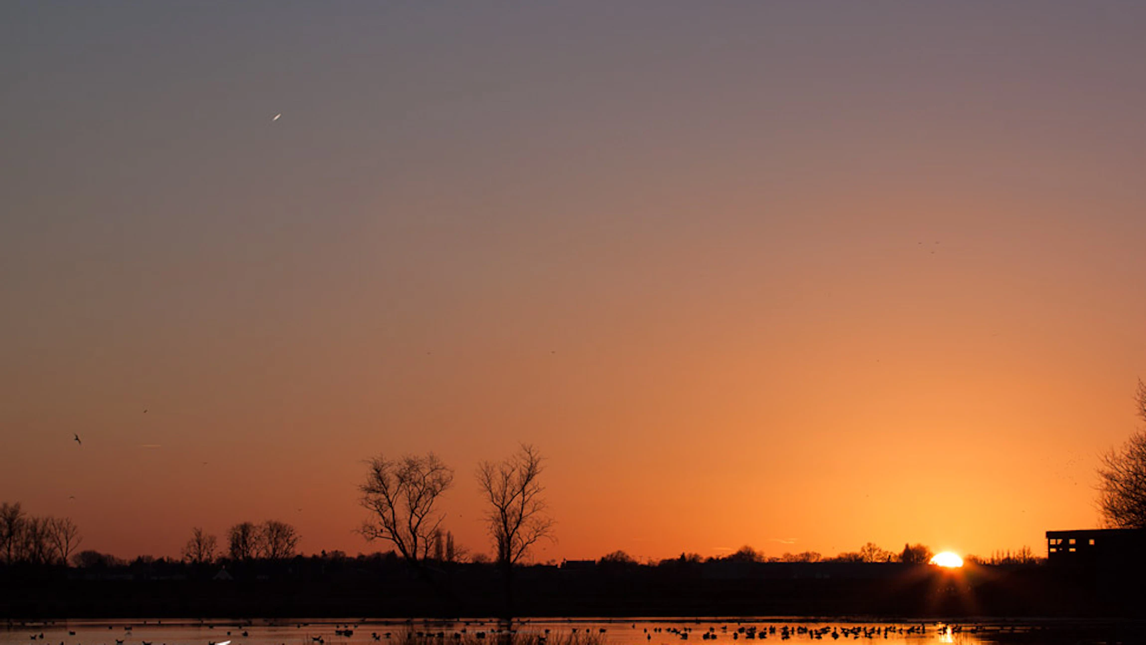 Zonsondergang in de Bourgoyen (c) Wacca