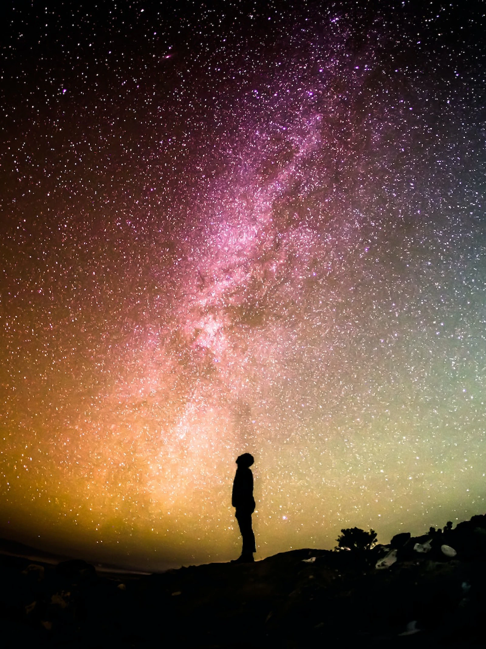 Unsplash.com by Greg Rakozy