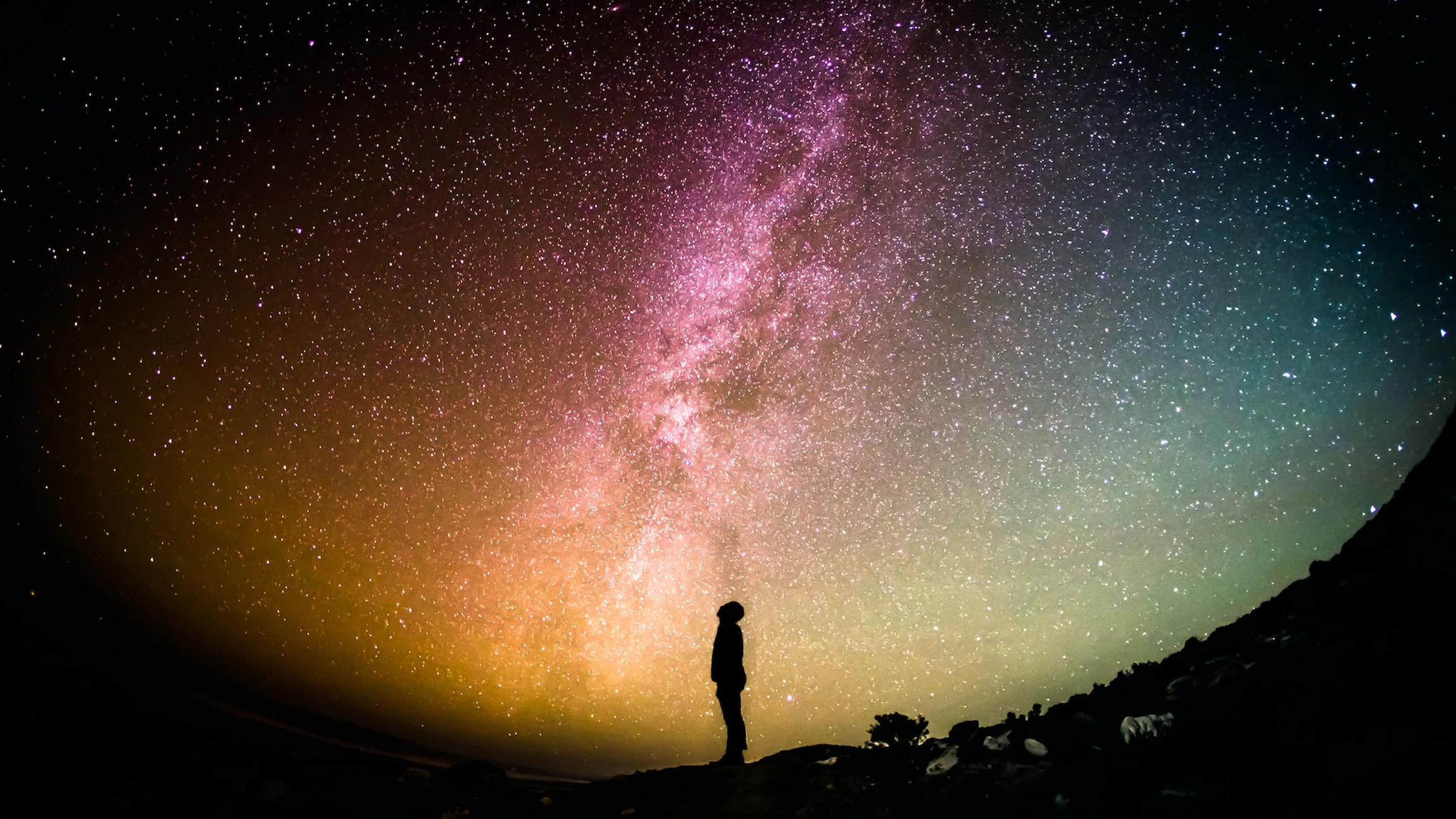 Unsplash.com by Greg Rakozy
