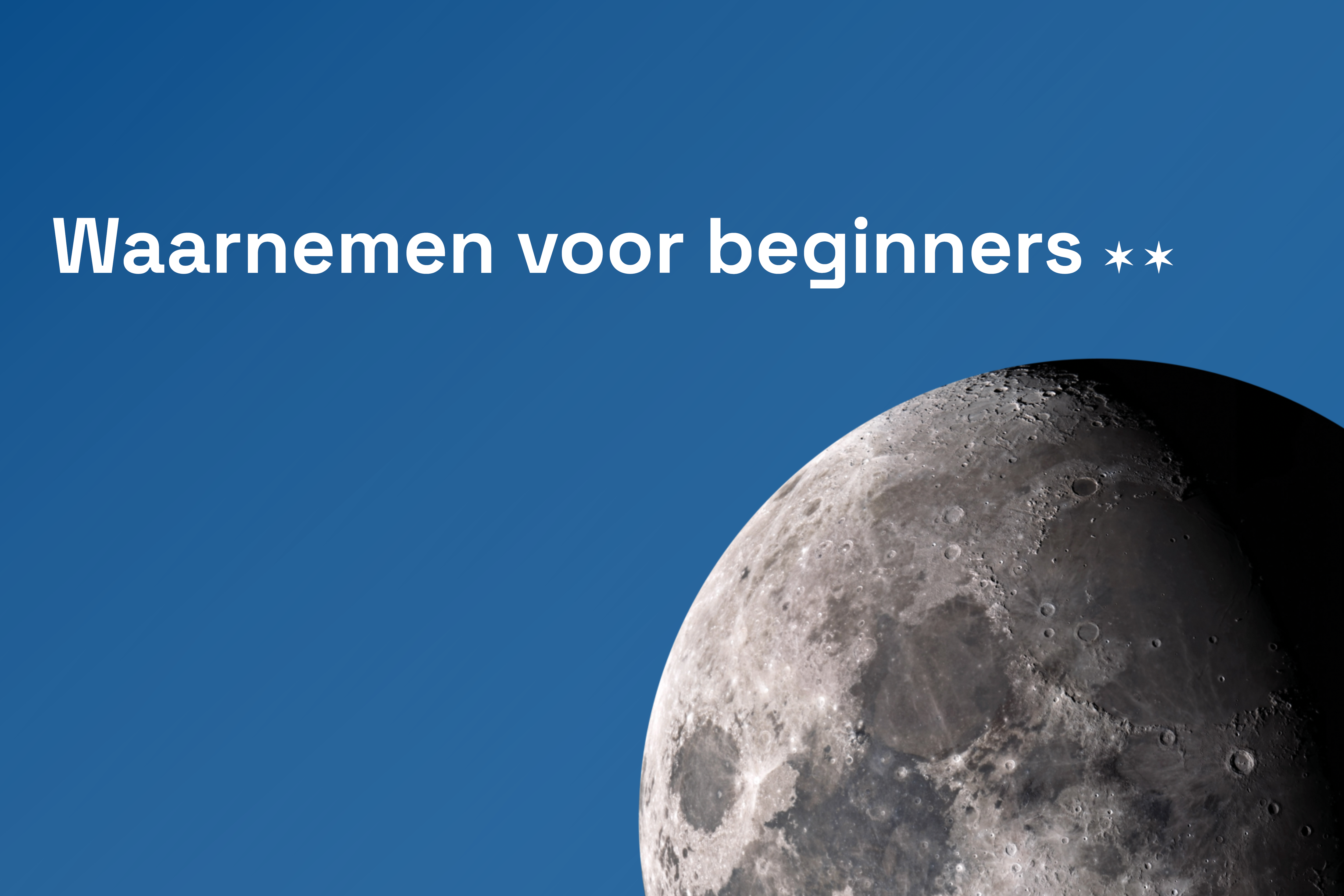 Waarnemen voor beginners 2023-2024