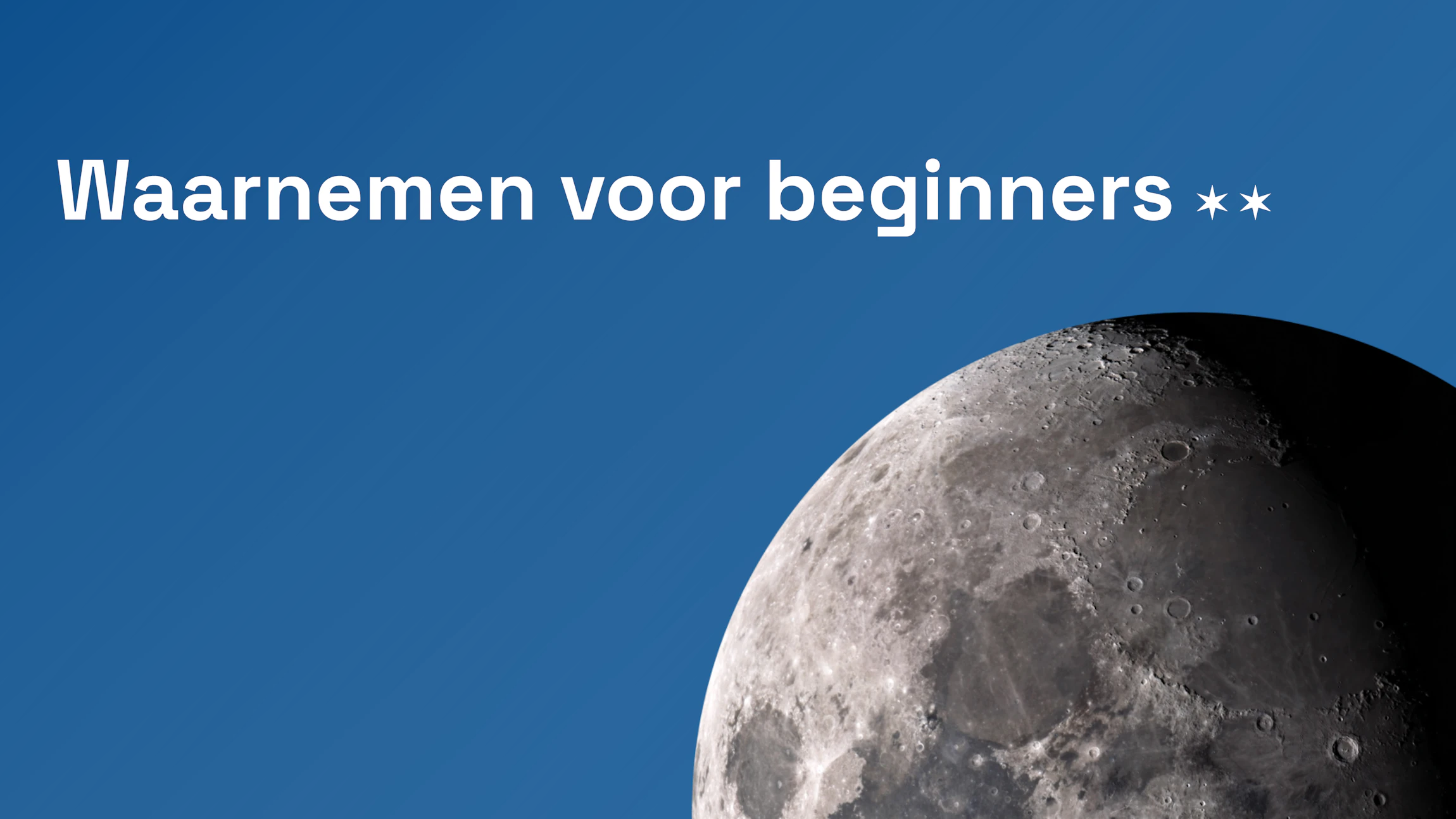 Waarnemen voor beginners 2023-2024