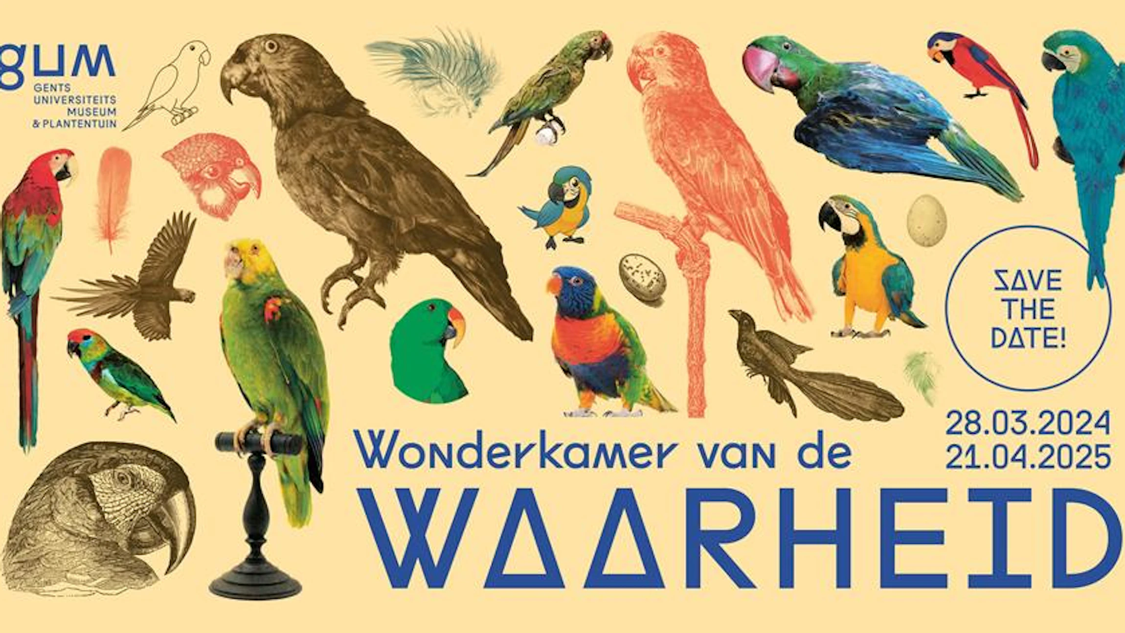 Wonderkamer van de WAARHEID