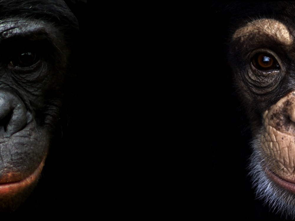 afbeelding ZOO Science