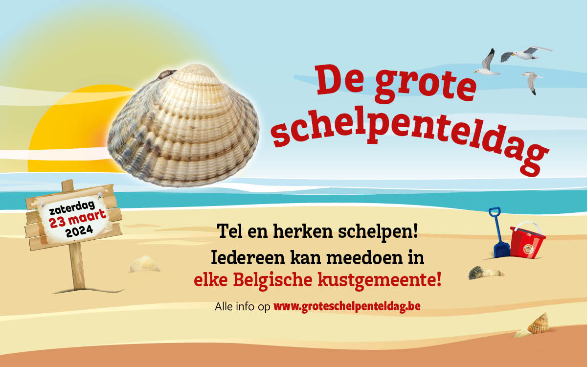 Grote Schelpenteldag 2024
