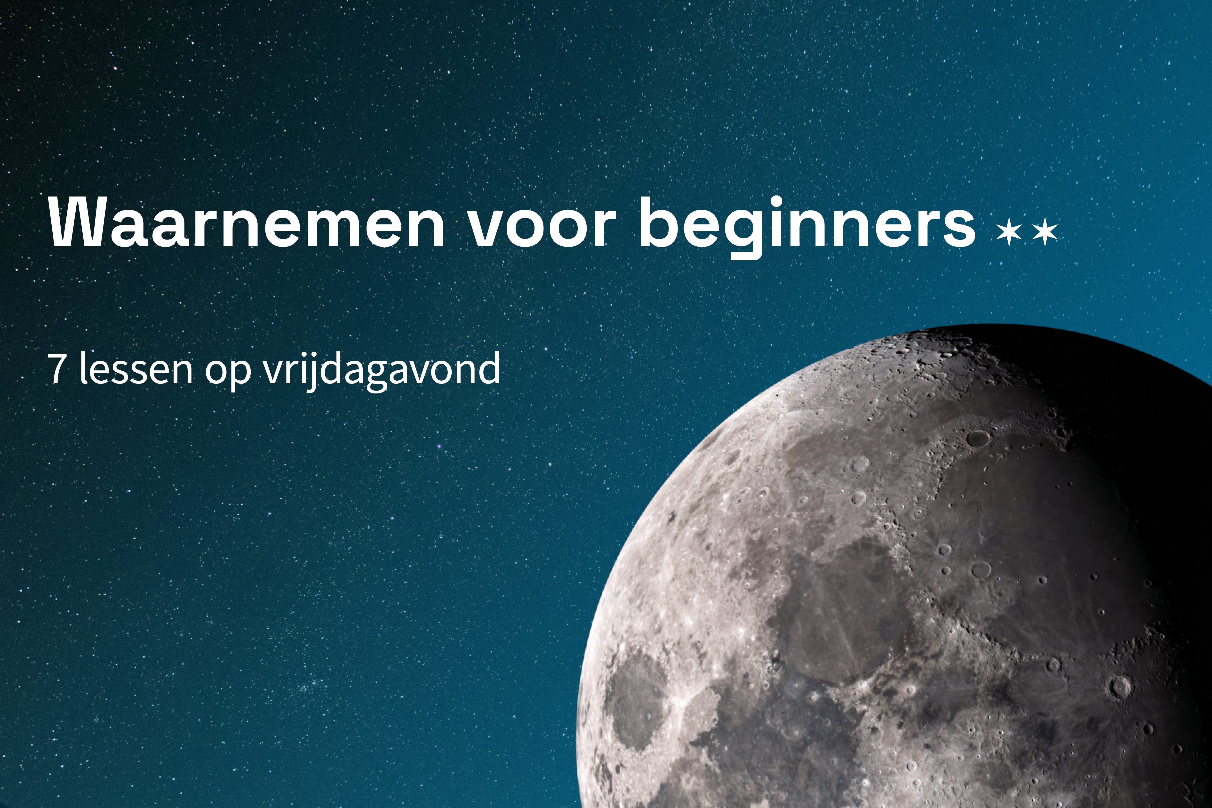 Waarnemen voor beginners 2024-2025