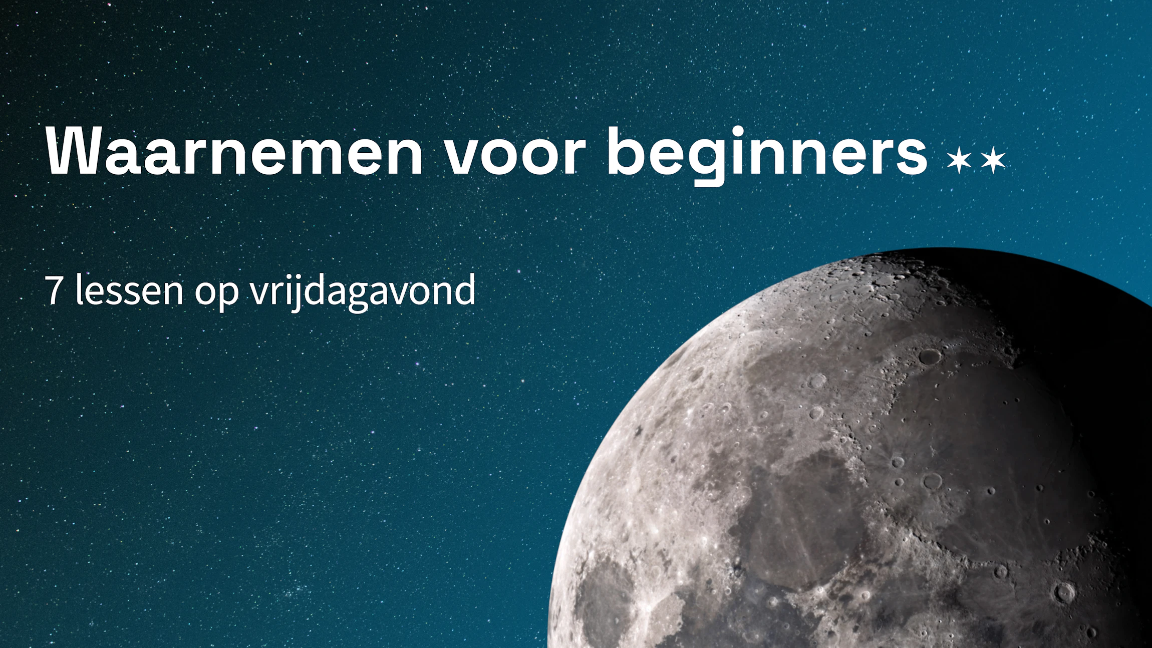 Waarnemen voor beginners 2024-2025