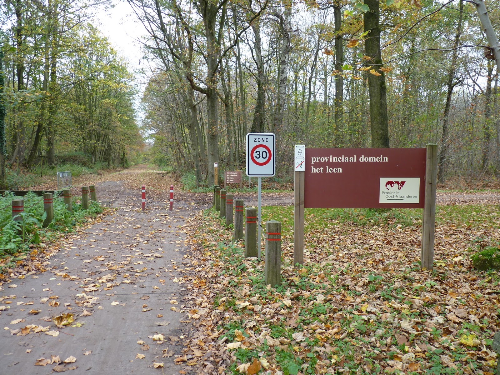 Het Leen is een prachtig natuurgebied op 278 hectare - een ideale plek dus om de sterrenhemel te bewonderen.