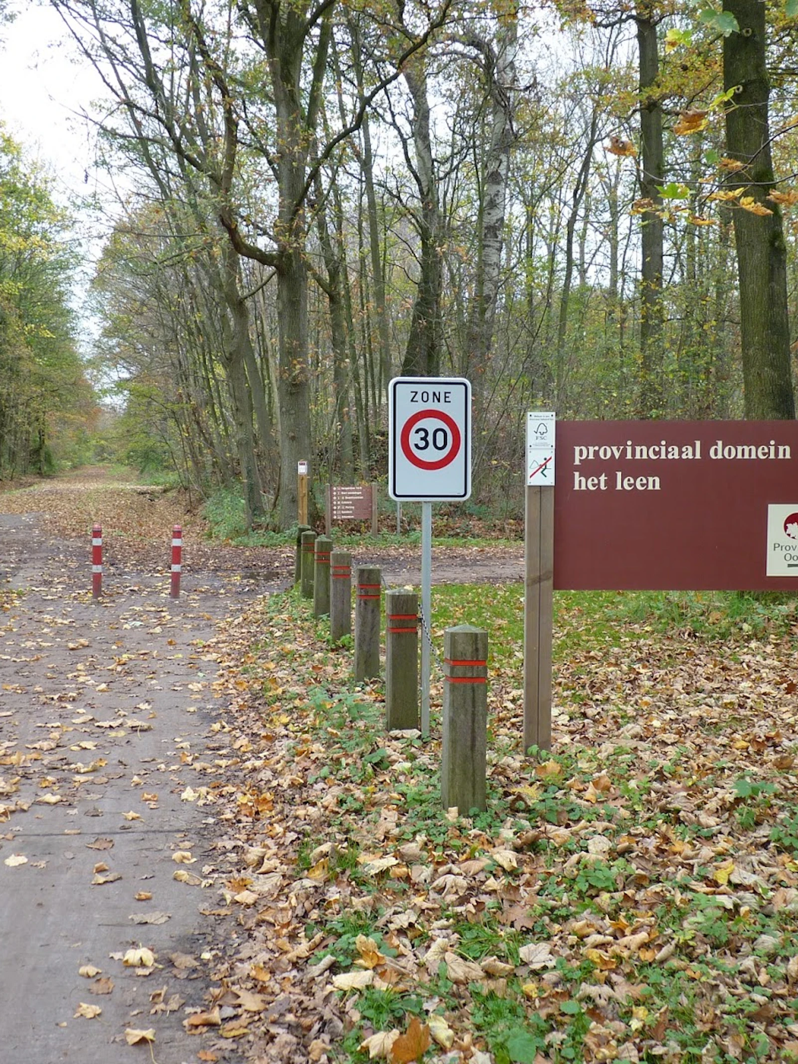 Het Leen is een prachtig natuurgebied op 278 hectare - een ideale plek dus om de sterrenhemel te bewonderen.