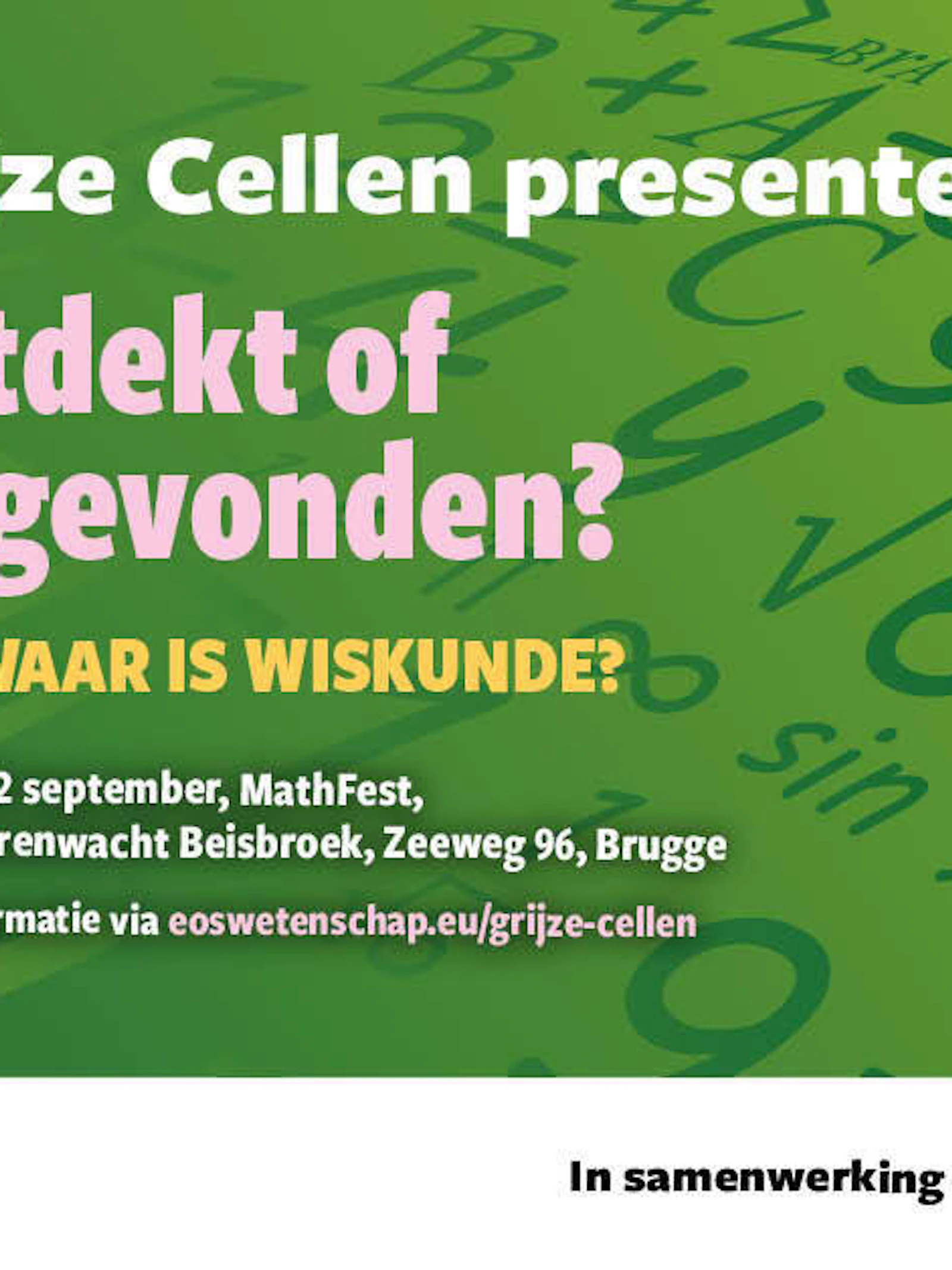 Grijze Cellen: Wiskunde, ontdekt of uitgevonden?