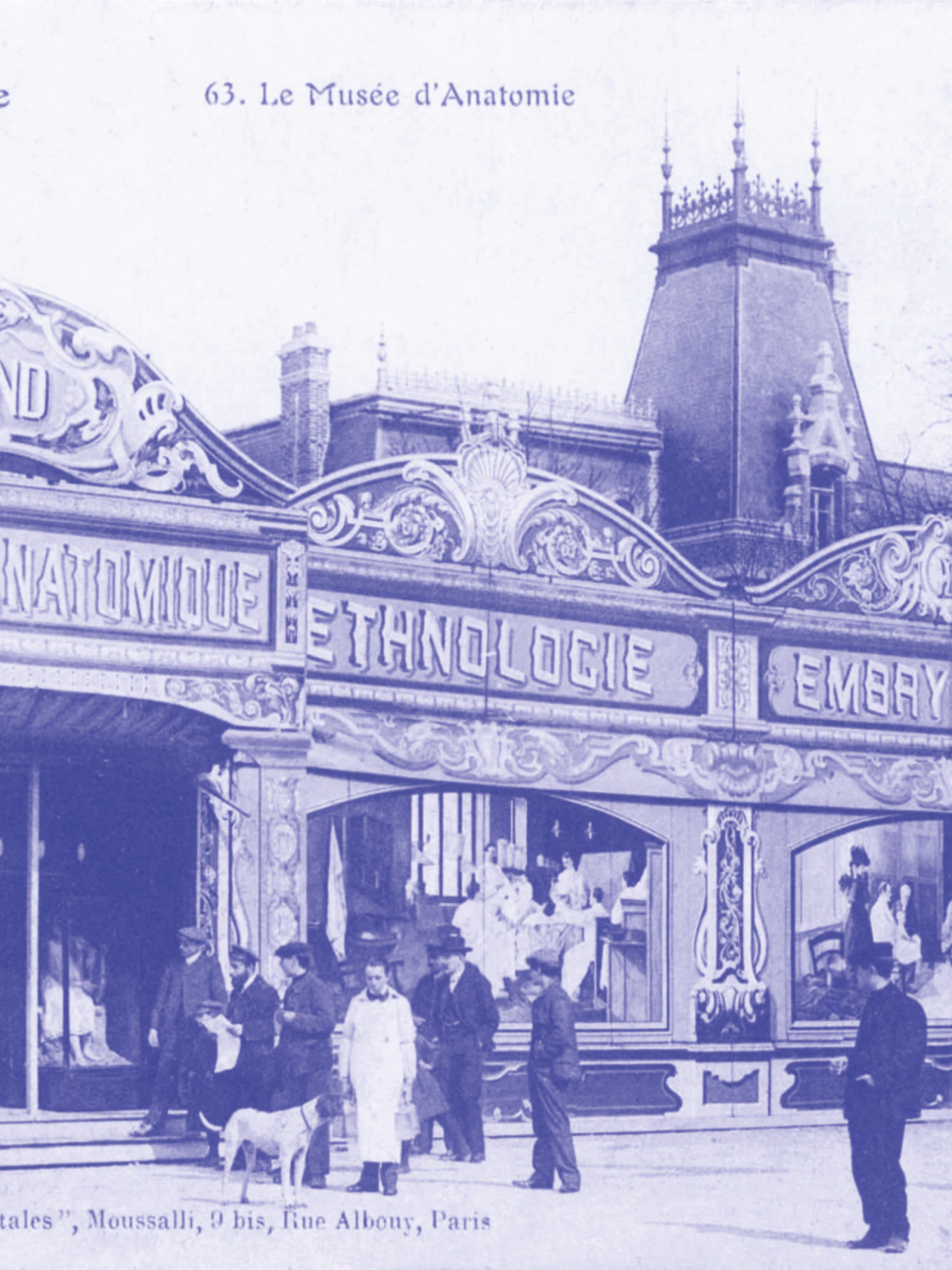 afbeelding UAntwerpen