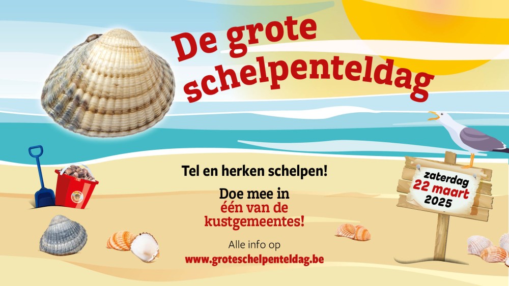 Grote Schelpenteldag 2025