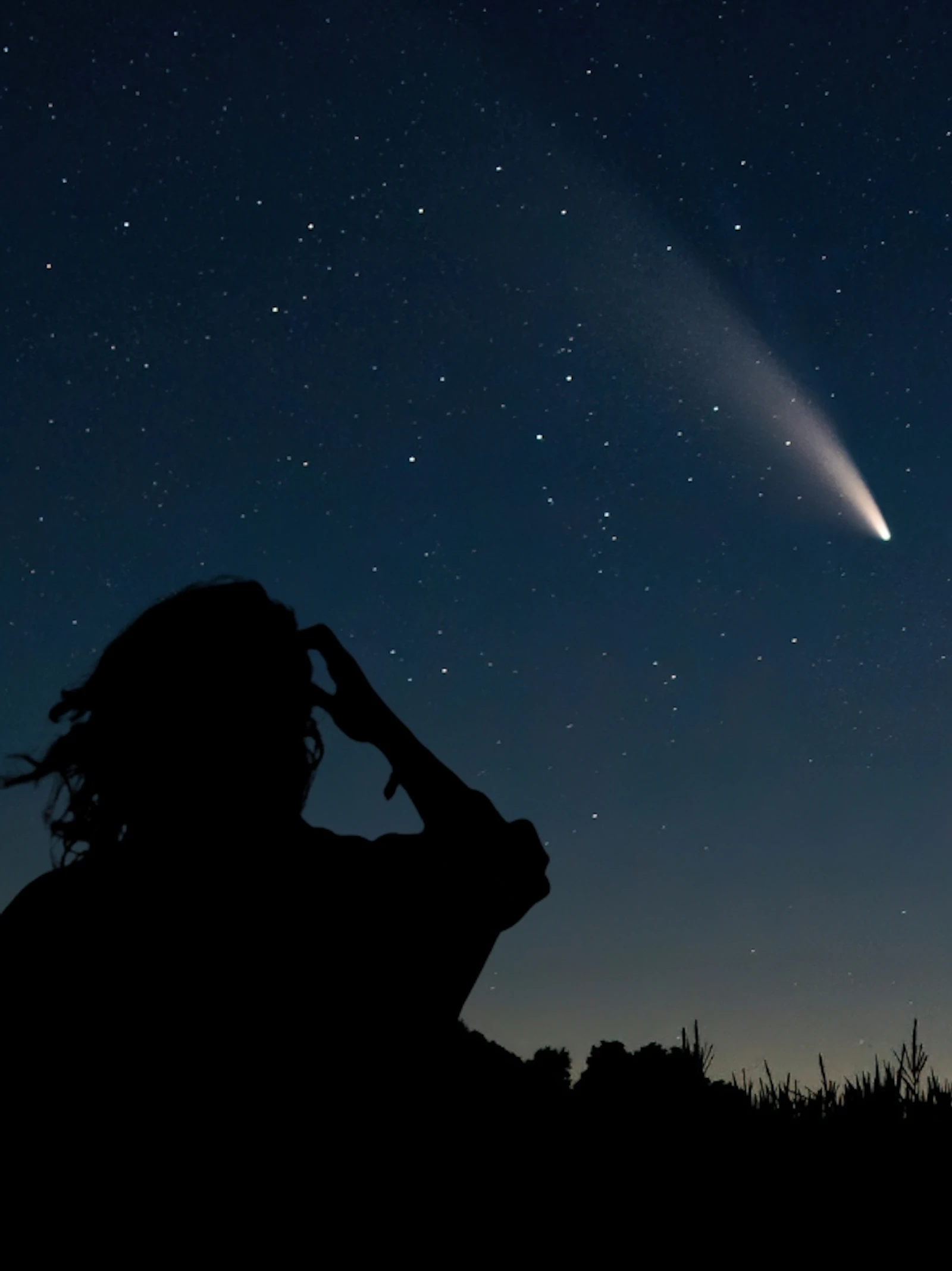 Nacht van de vallende sterren 2025 @Cosmodrome