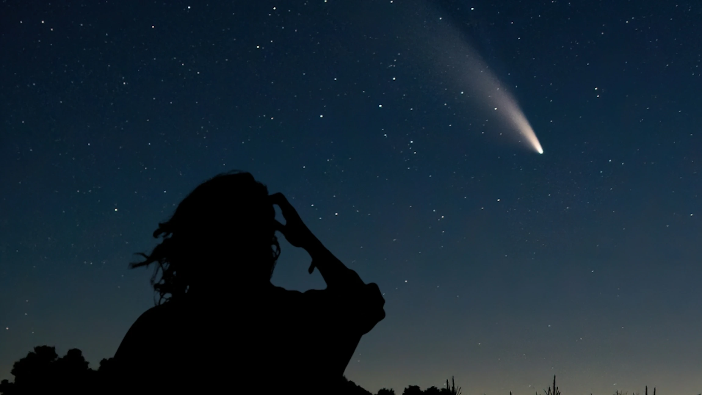 Nacht van de vallende sterren 2025 @Cosmodrome