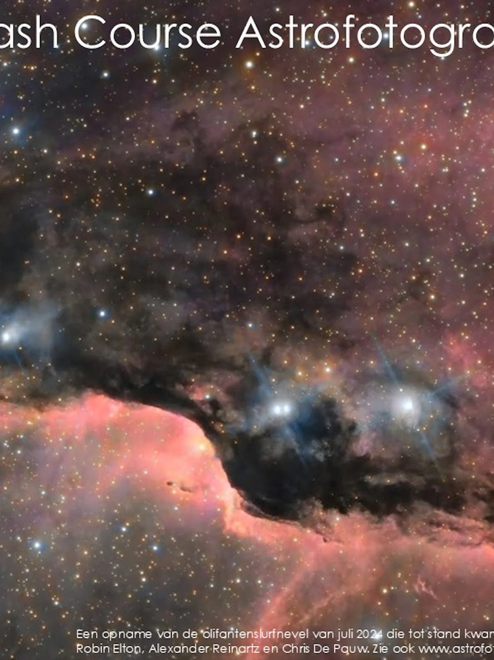 De olifantslurfnevel door de lens van onze astrofotografen. Zelf doen? Dan mag je deze crash course niet missen! © (c) astrofoto.be