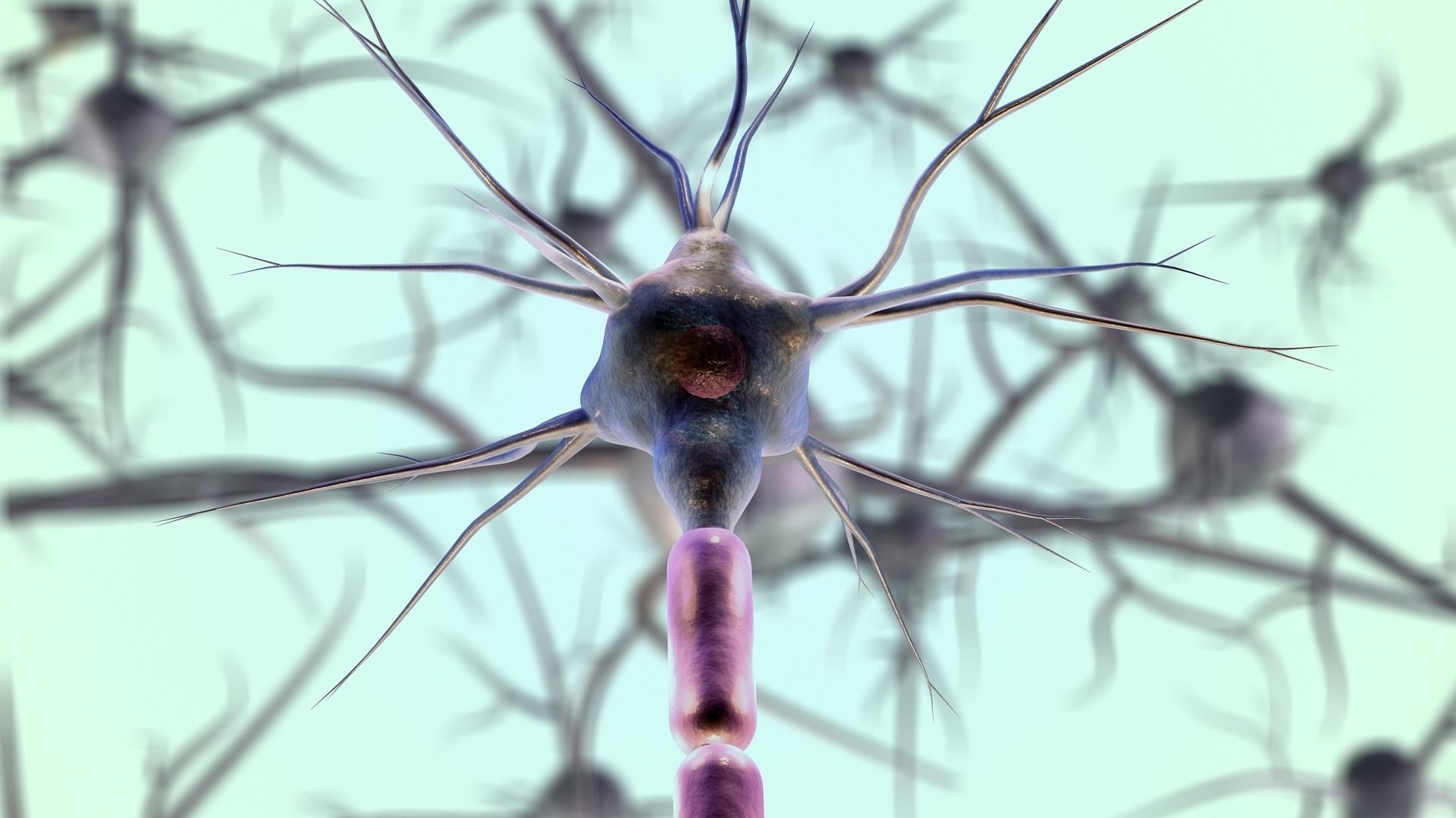 afbeelding Pixabay