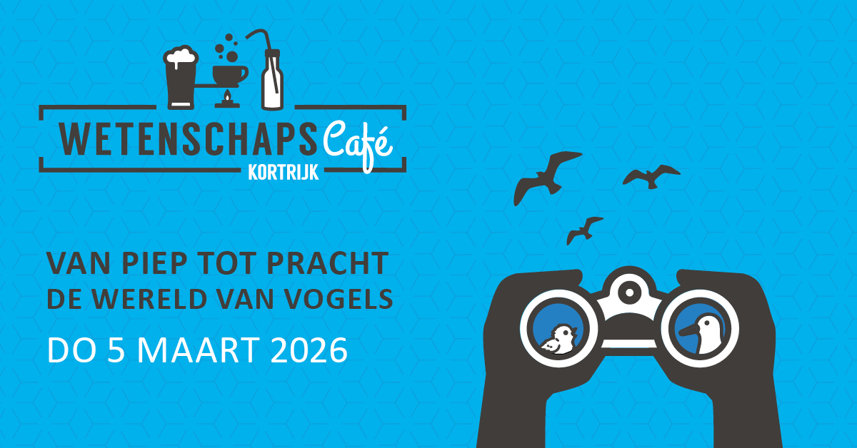 eflyer_vogels