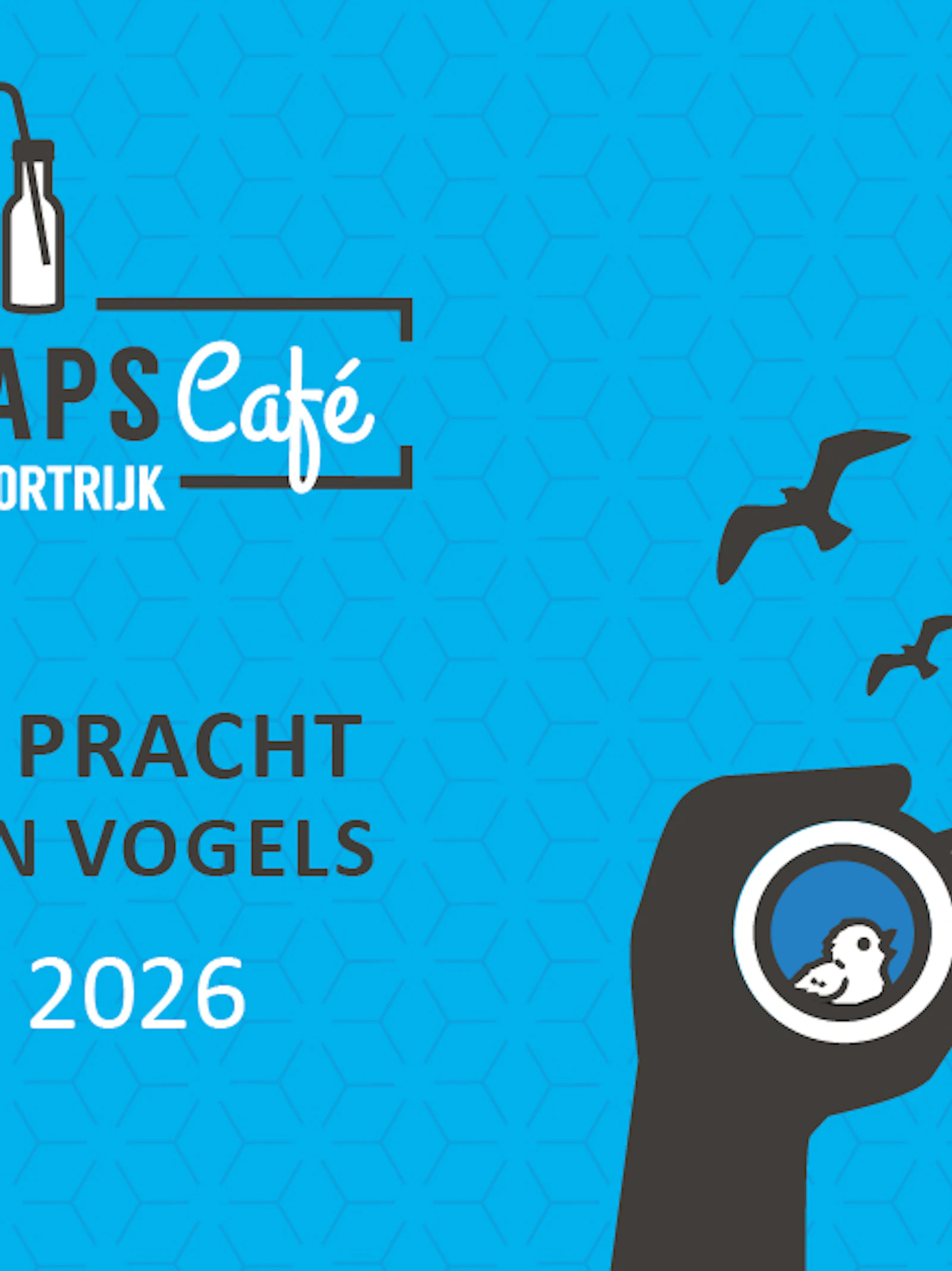 eflyer_vogels