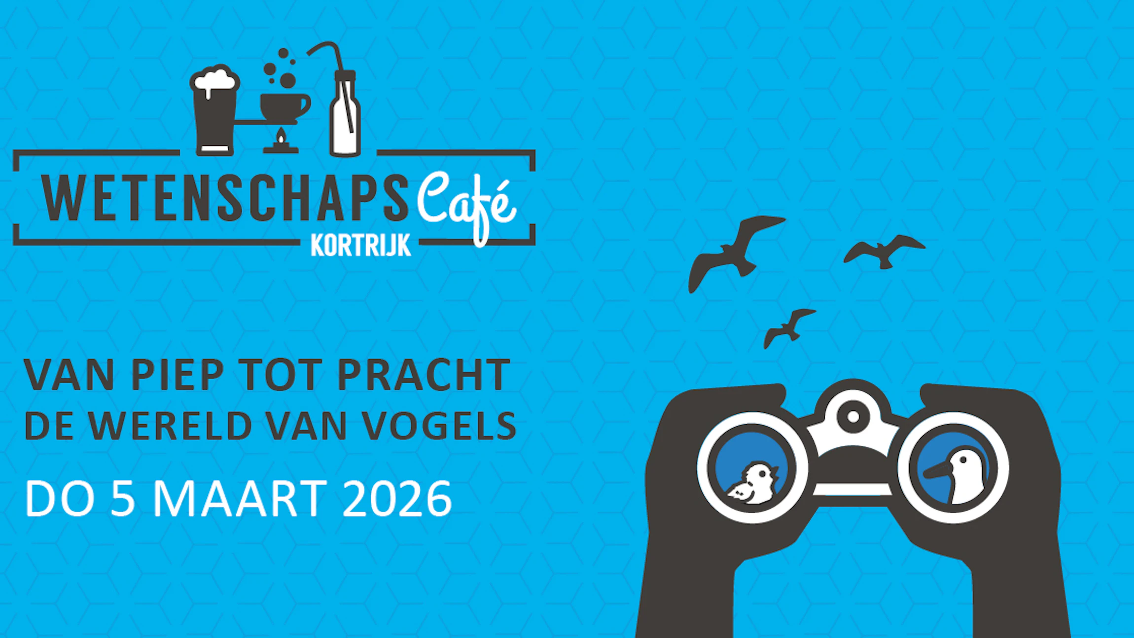 eflyer_vogels