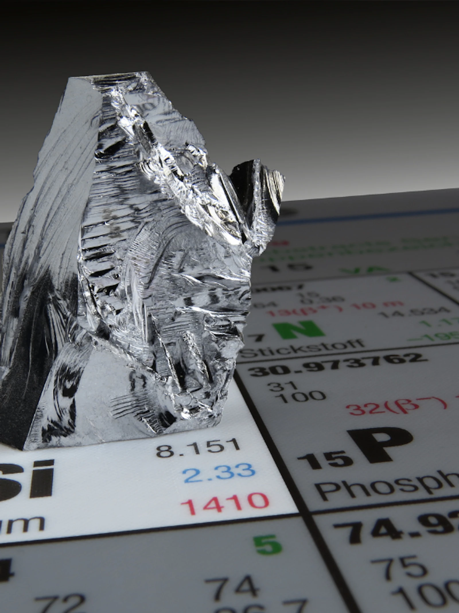 Silicium in ecosystemen: wat gebeurt er met dit vergeten element?