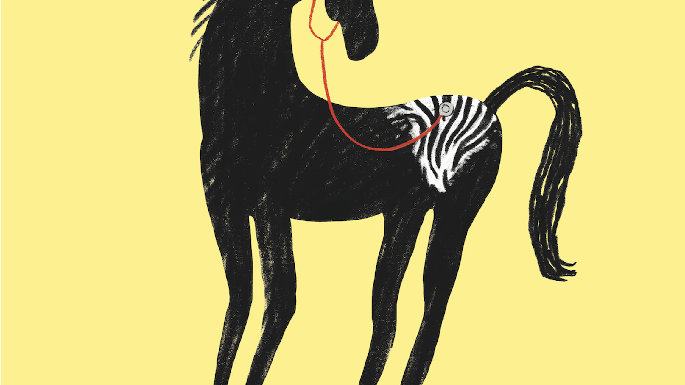 Achter de zebra’s: waargebeurde verhalen van zeldzame ziekten