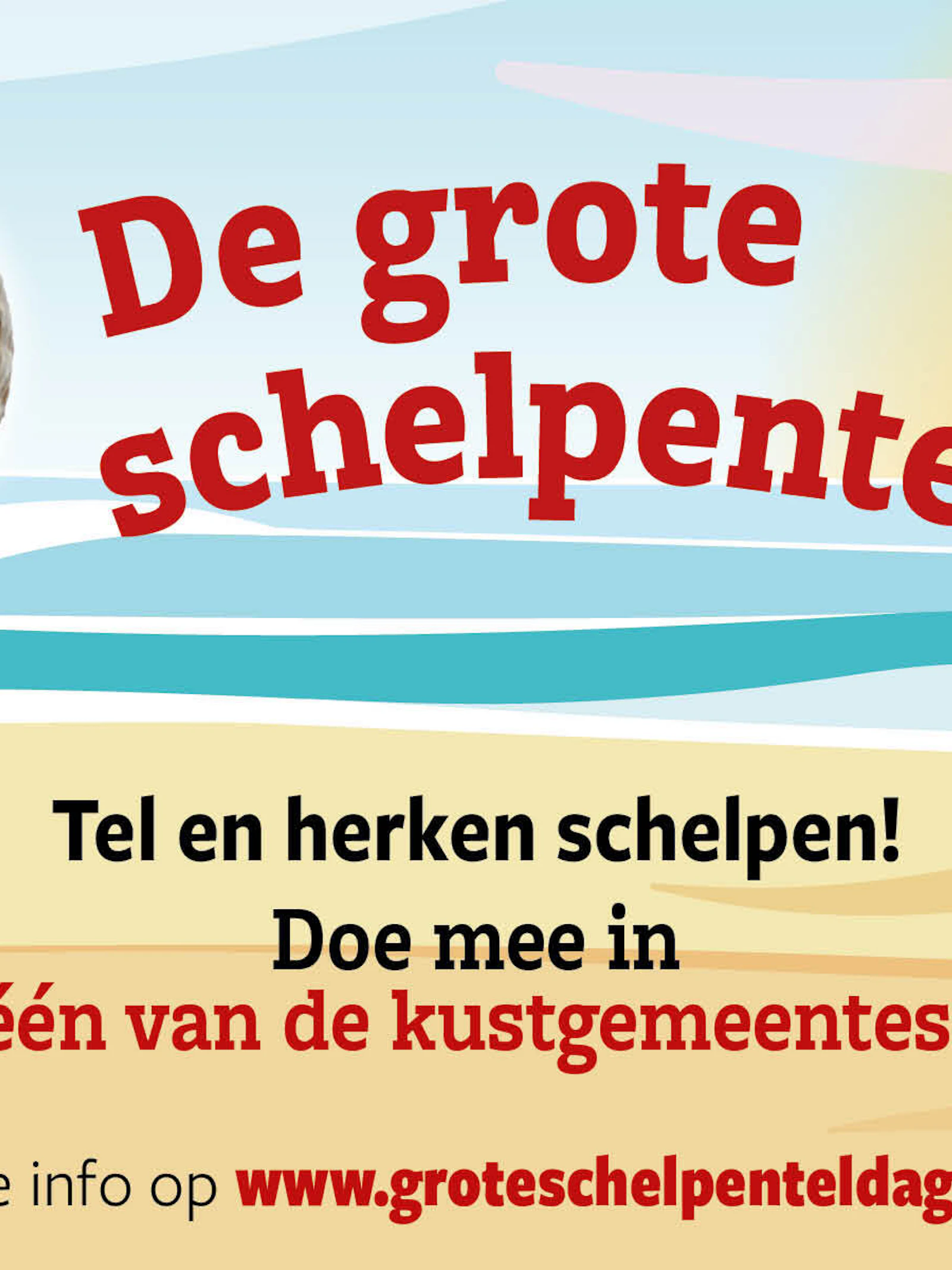 De Grote Schelpenteldag 2026 - Meer dan schelpen tellen!