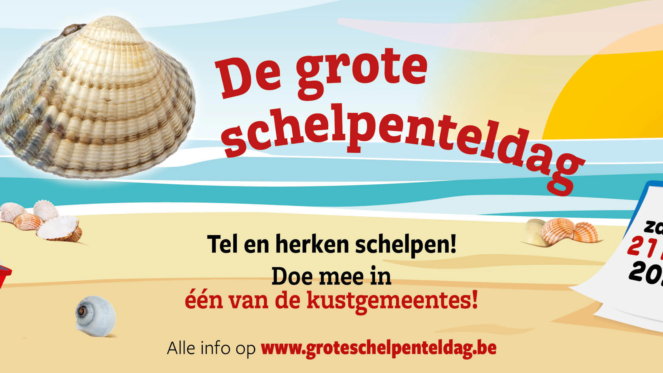De Grote Schelpenteldag 2026 - Meer dan schelpen tellen!