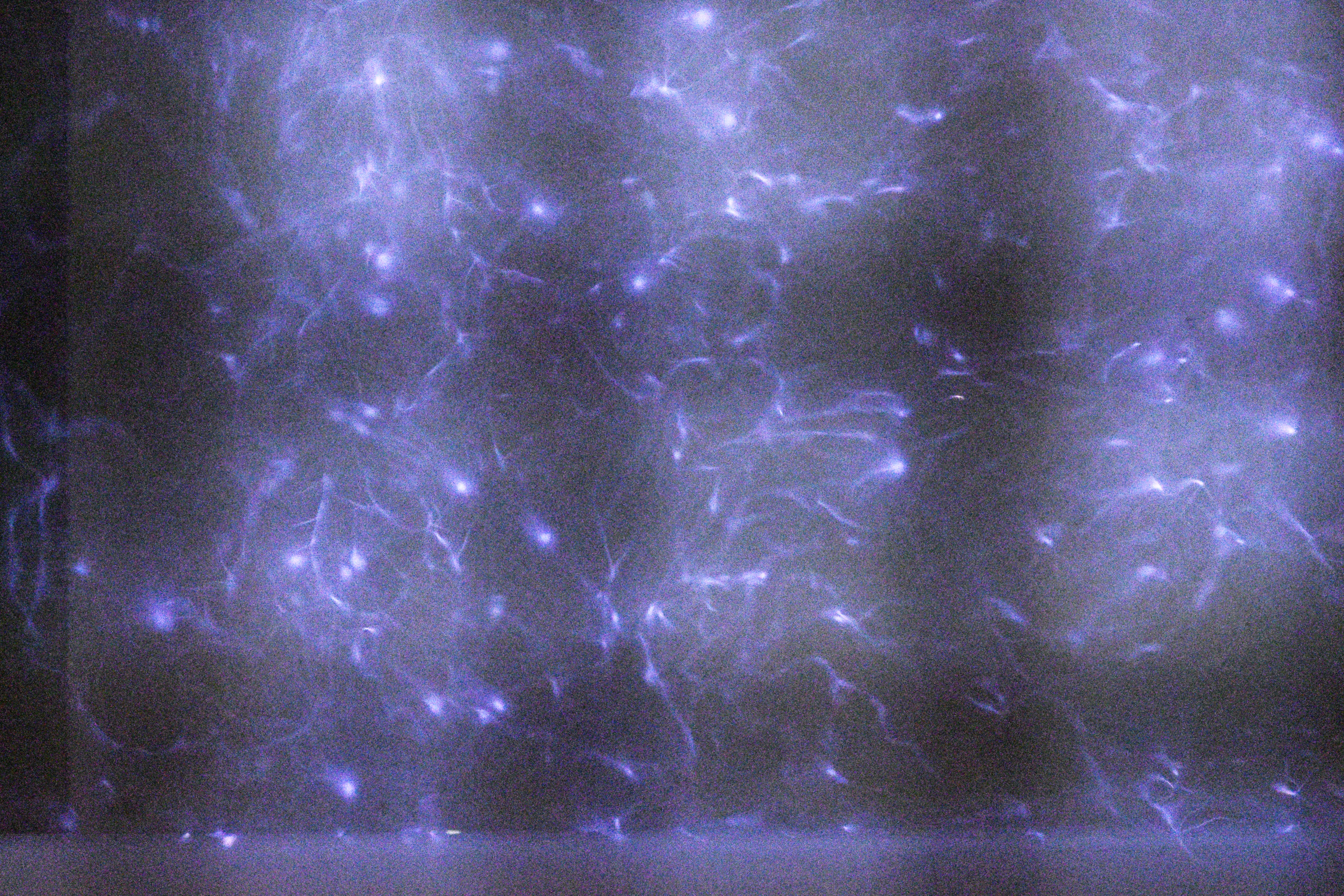 Het bovenaanzicht van mijn doorzichtige reactor. De blauwe-paarse vonken zijn plasma. Stel je voor dat ze in het rond dansen!