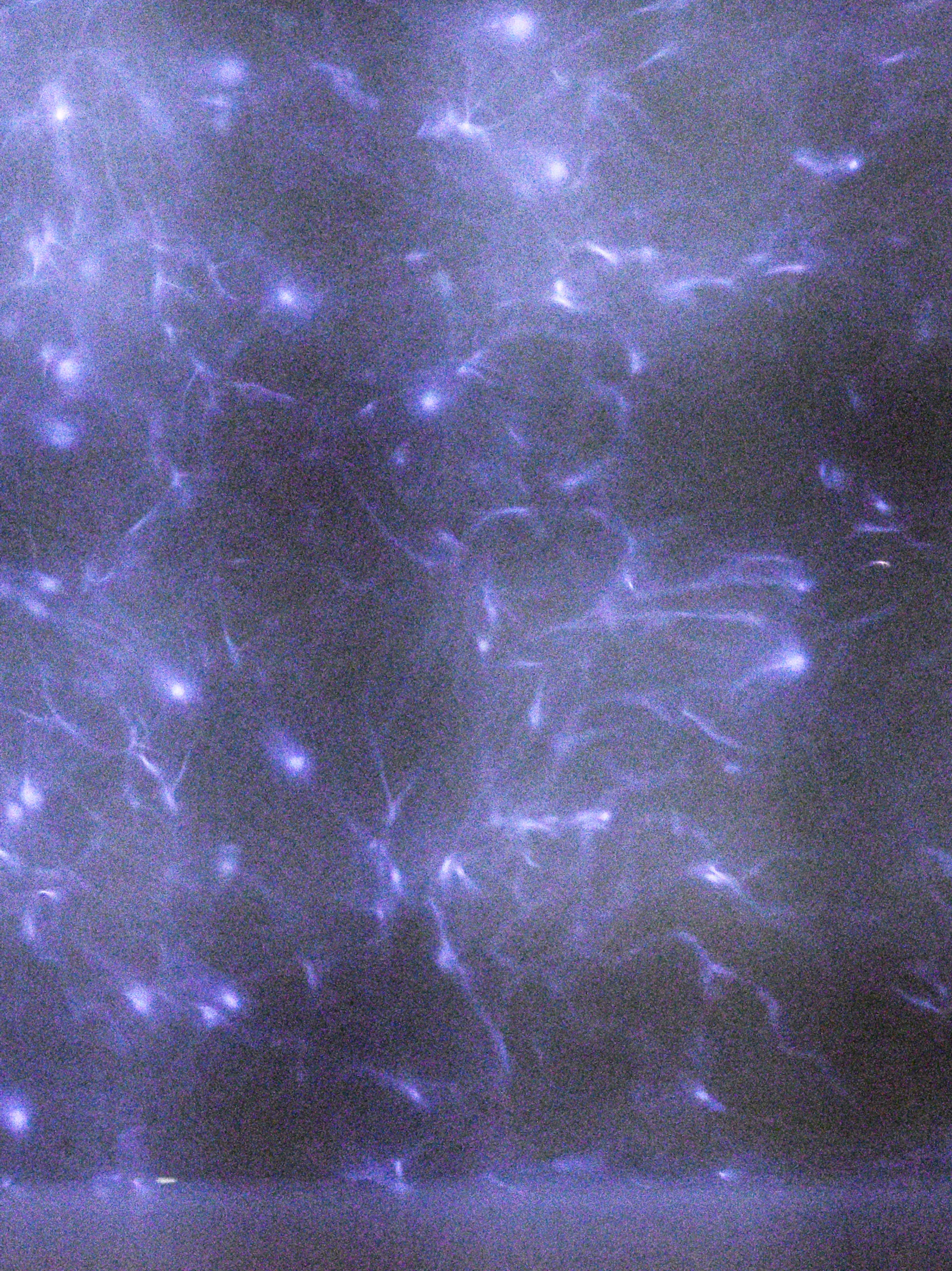 Het bovenaanzicht van mijn doorzichtige reactor. De blauwe-paarse vonken zijn plasma. Stel je voor dat ze in het rond dansen!