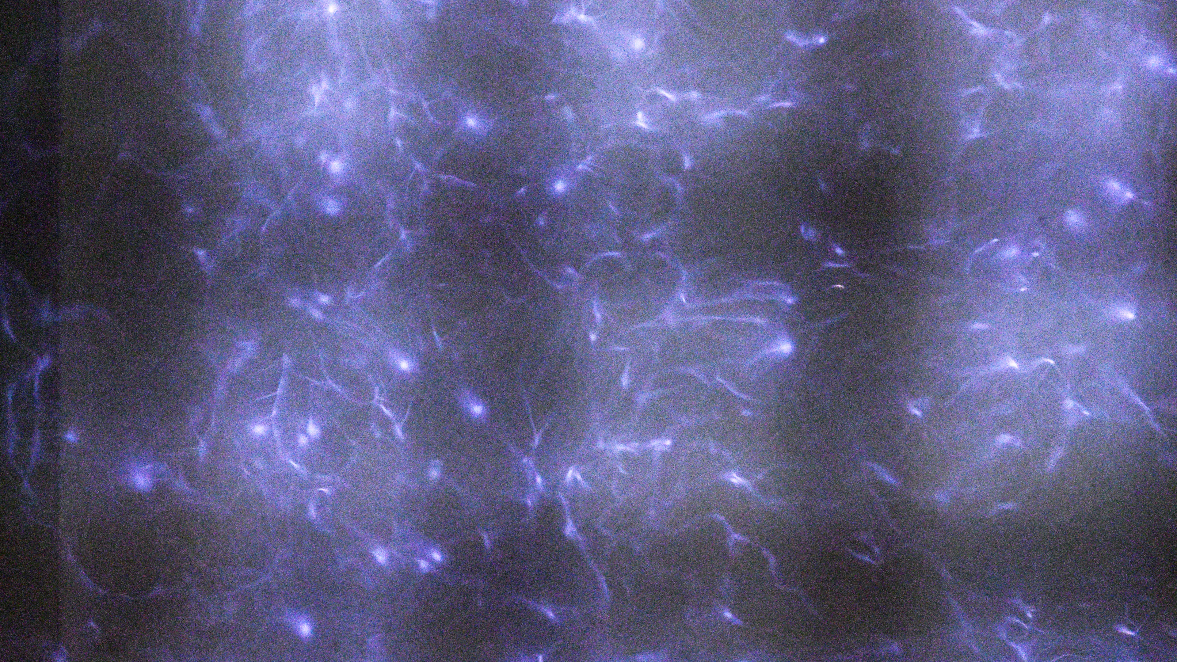 Het bovenaanzicht van mijn doorzichtige reactor. De blauwe-paarse vonken zijn plasma. Stel je voor dat ze in het rond dansen!